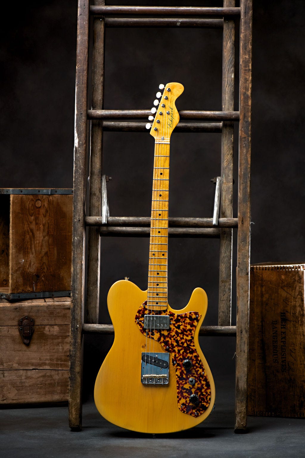 don rich telecaster wood