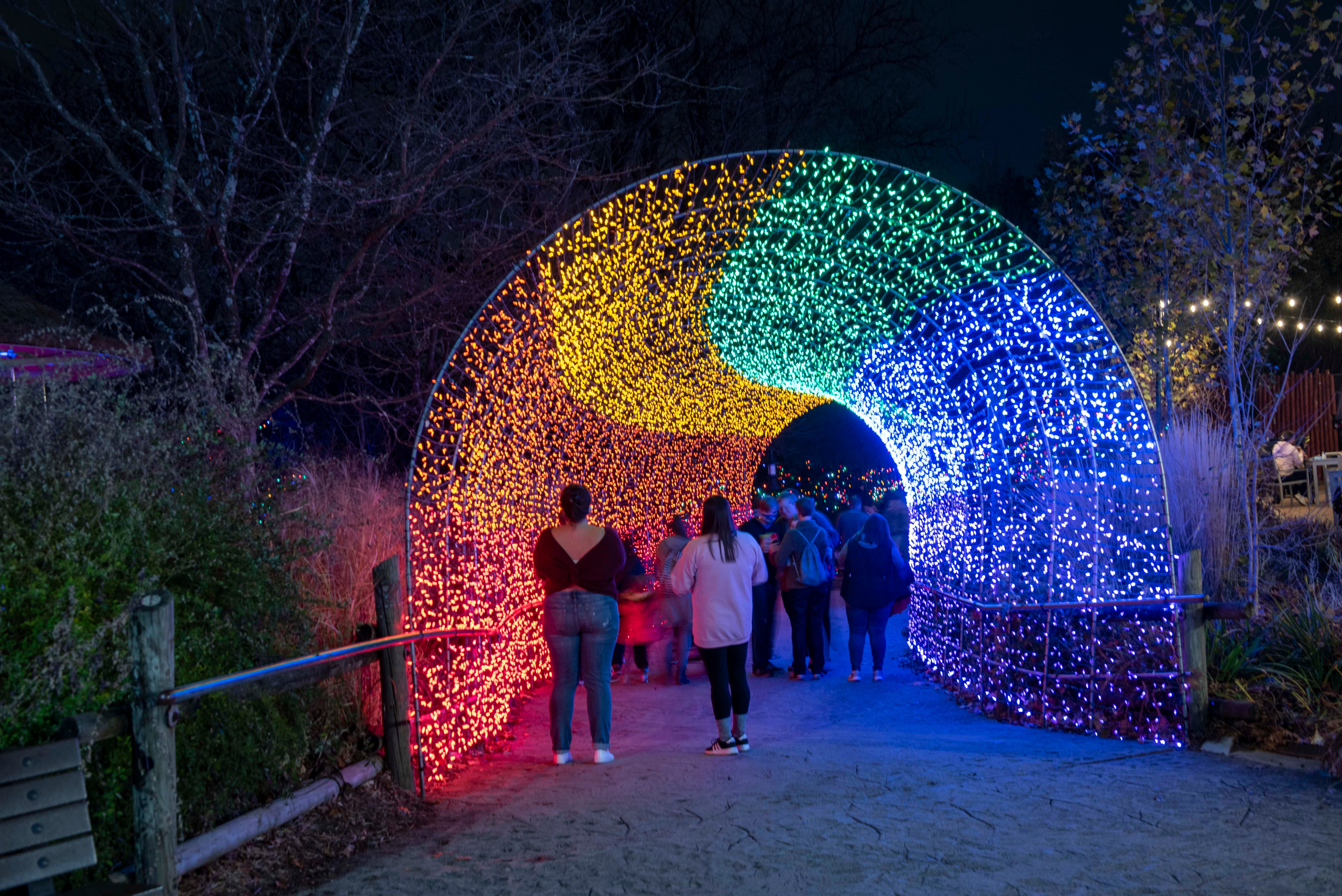 Photos Cincinnati Zoo S Festival Of Lights Friday Nov 20   18cec4a9 Ab00 473f A9d7 1c41784355f3 Festival Of Lights30.JPG