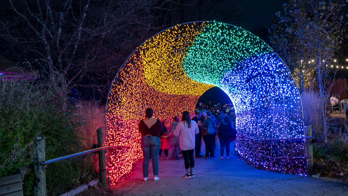 Photos Cincinnati Zoo's Festival of Lights, Friday, Nov. 20