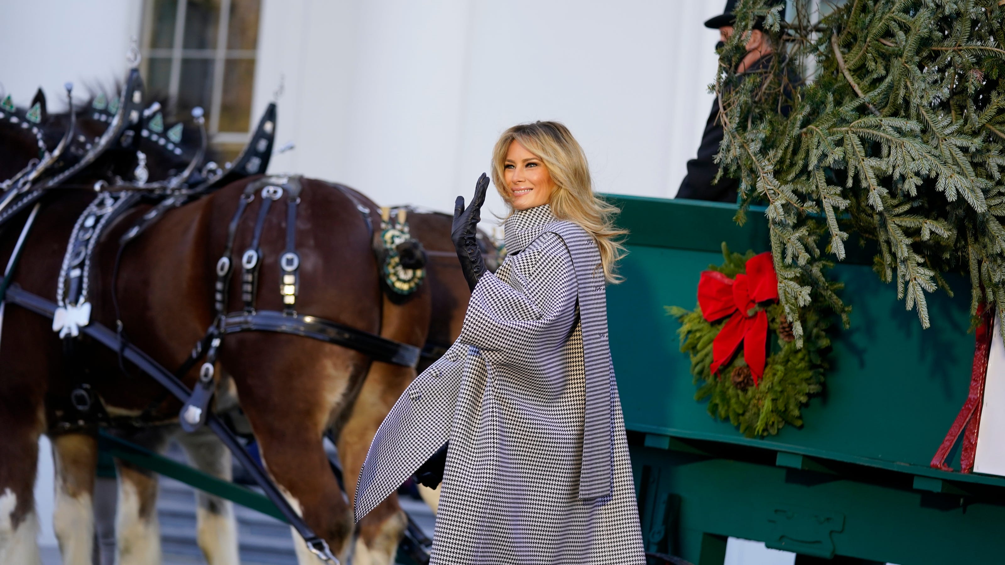 Melania Trump receives White House Christmas tree from West Virginia