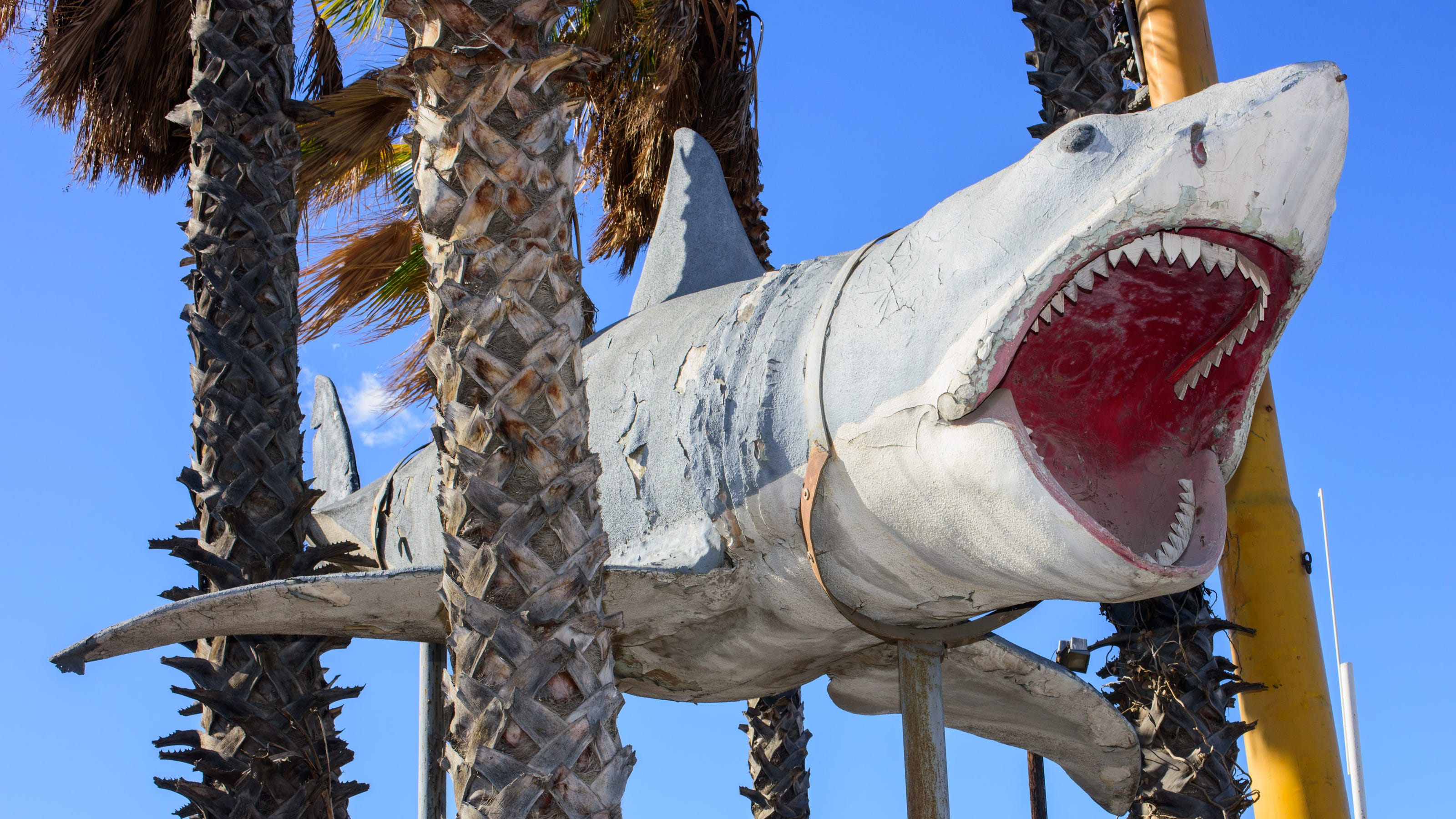 'Jaws' shark to be displayed at Academy Museum of Motion Pictures