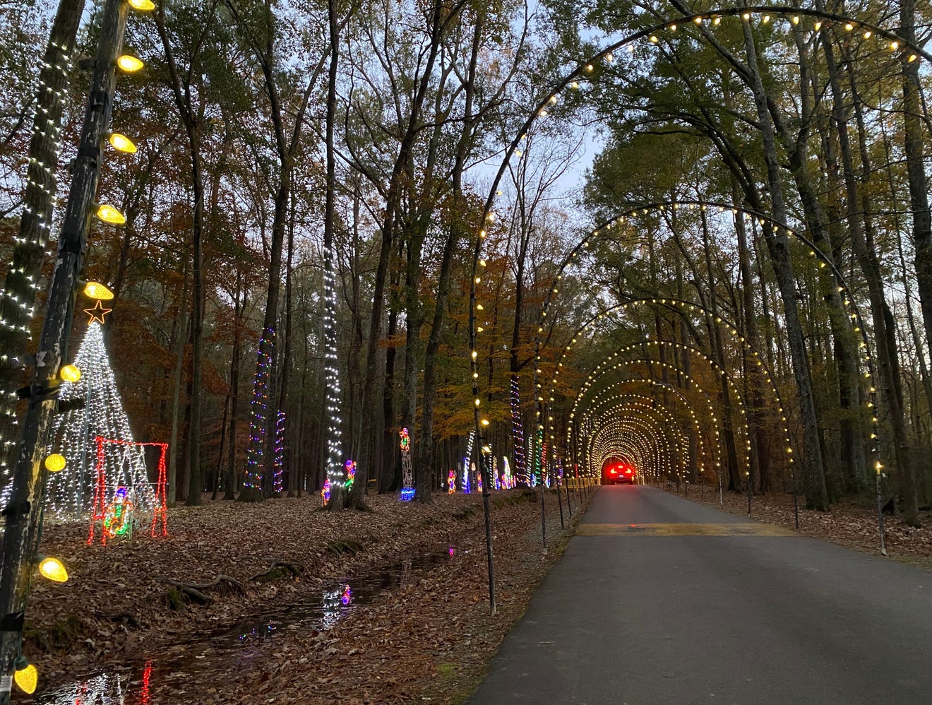 Christmas lights in the Fayetteville area