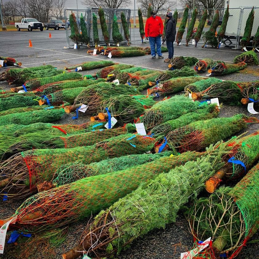 Fort Campbell Christmas Tree Giveaway 2022 Trees For Troops: Free Christmas Tree Give Away From Fort Campbell