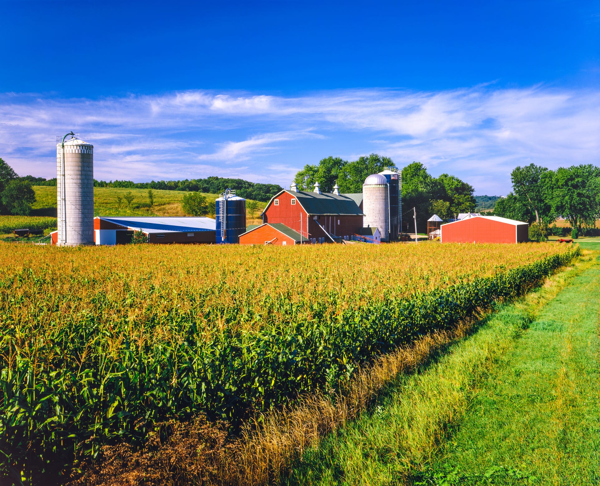 Indiana Small Farm Conference Goes Virtual