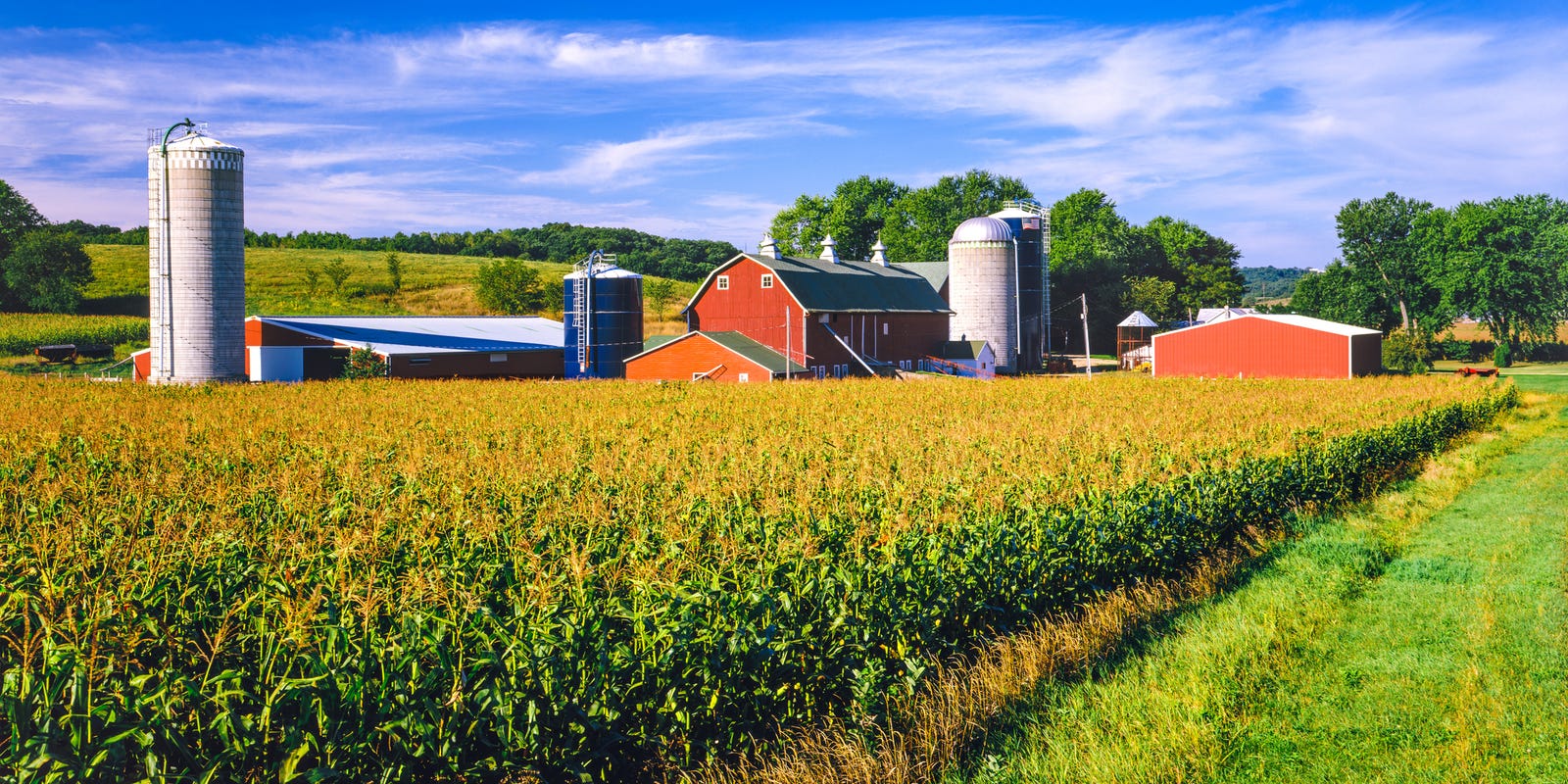 Indiana Small Farm Conference goes virtual