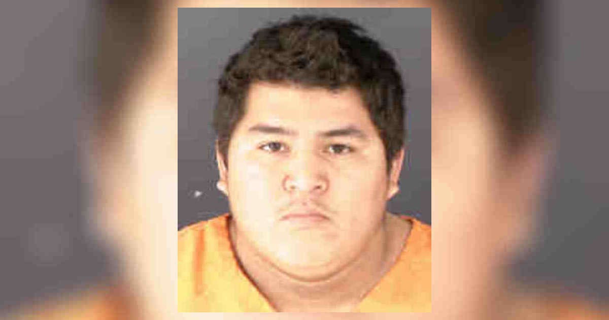 19 Year Old Boy - Sarasota man arrested for possession of child porn