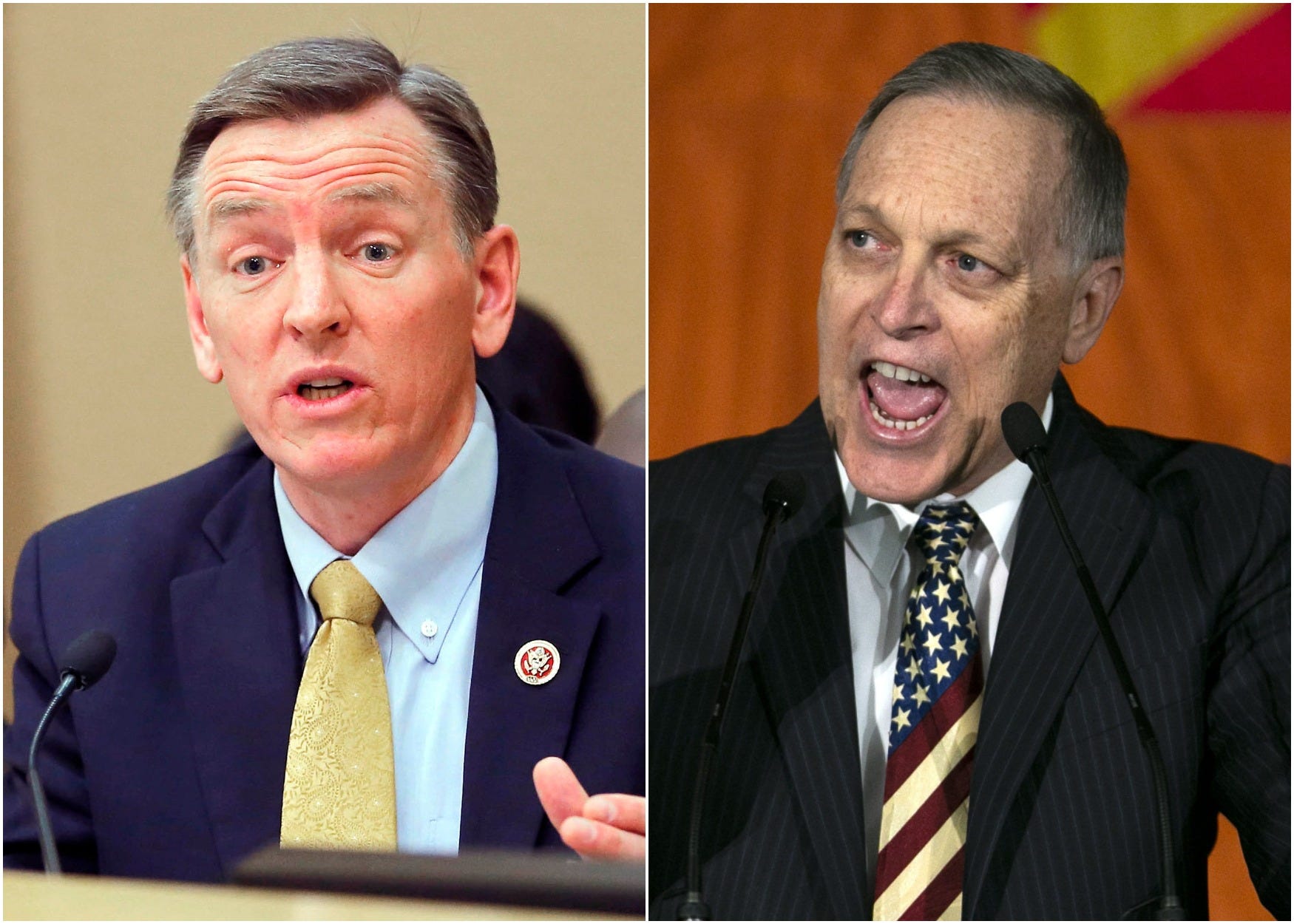 paul gosar and andy biggs