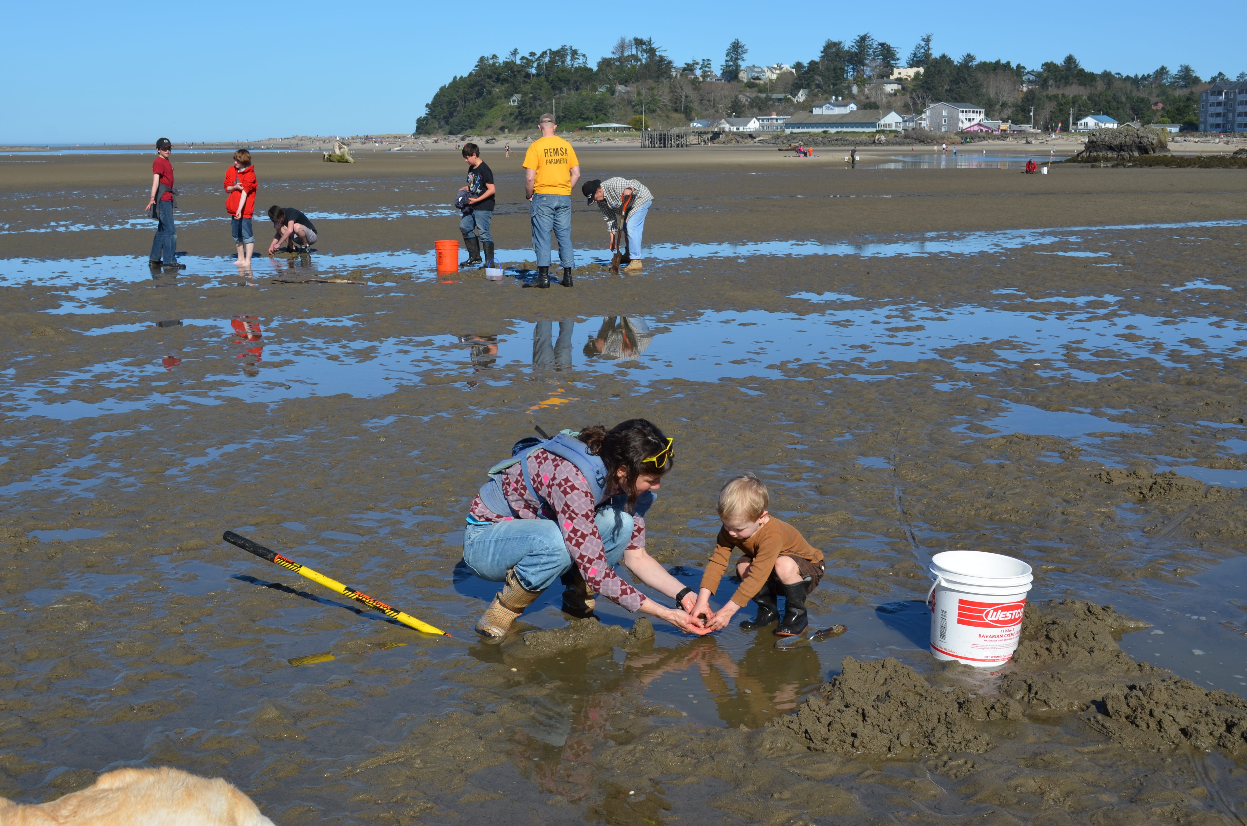 Henry Miller Here's how to plan your Oregon clamming trip in 2021