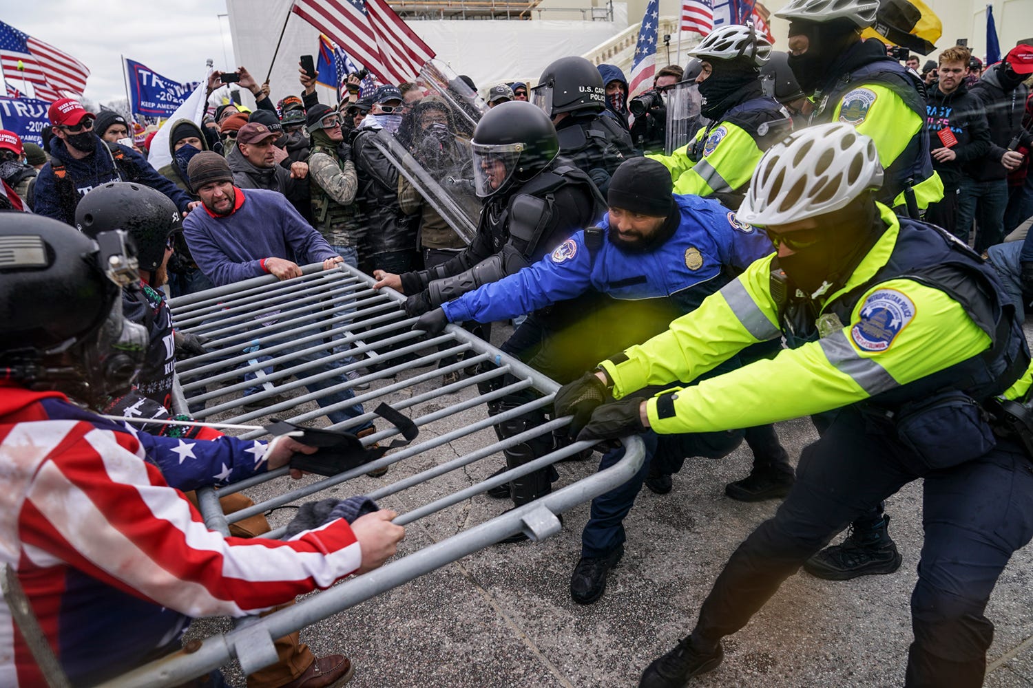 reeder capitol riot