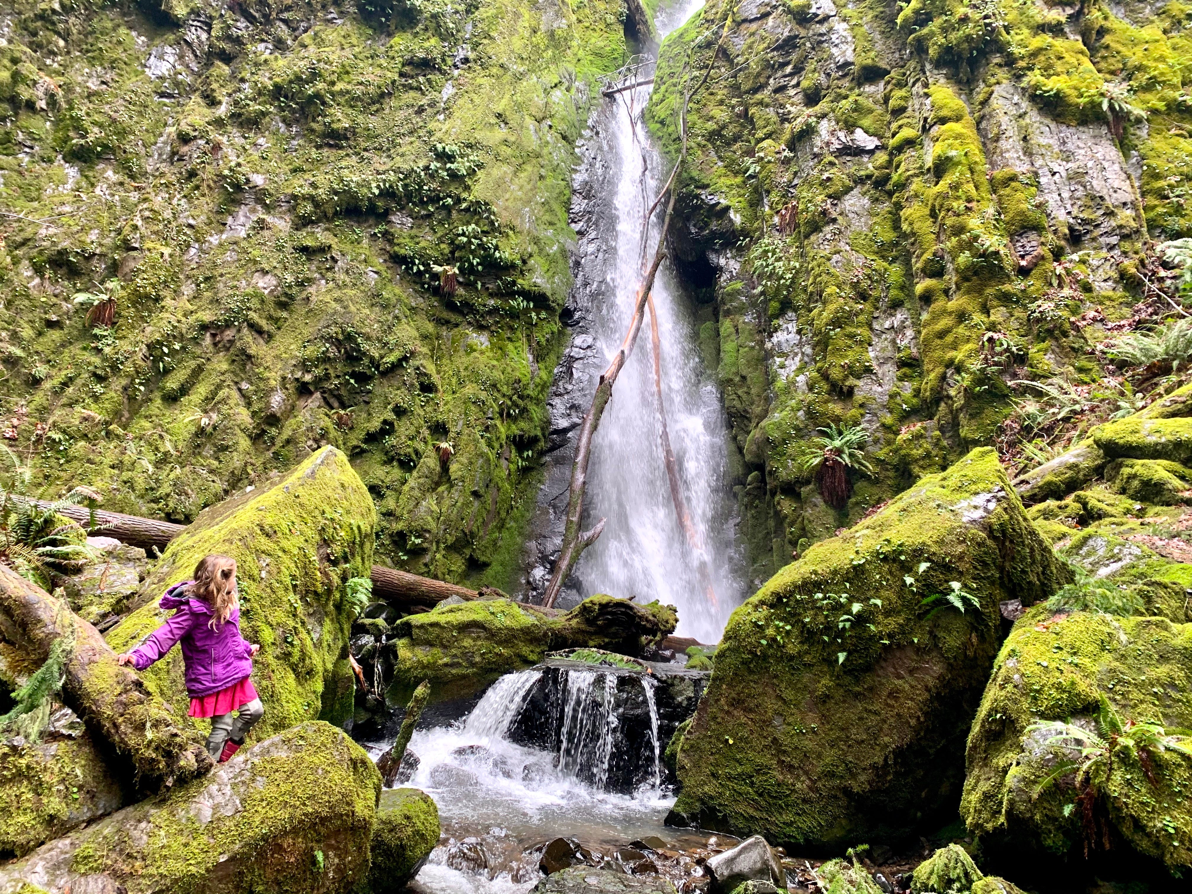 Discover Under The Radar Waterfall Hike At Cascadia State Park