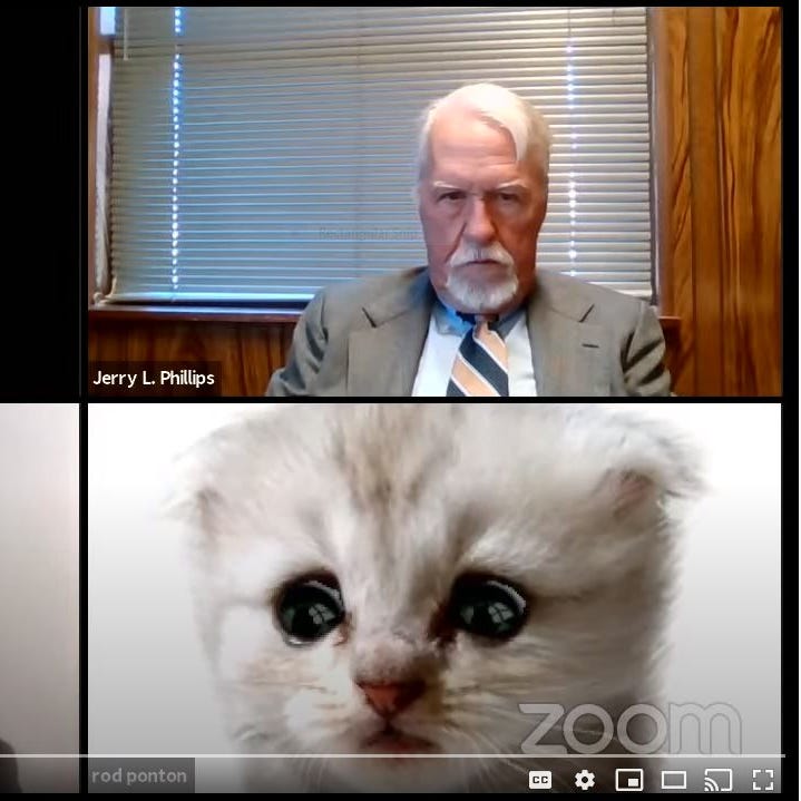 Zoom Cat Filter Fail Lawyer Appears In Court As A Kitten In Snafu