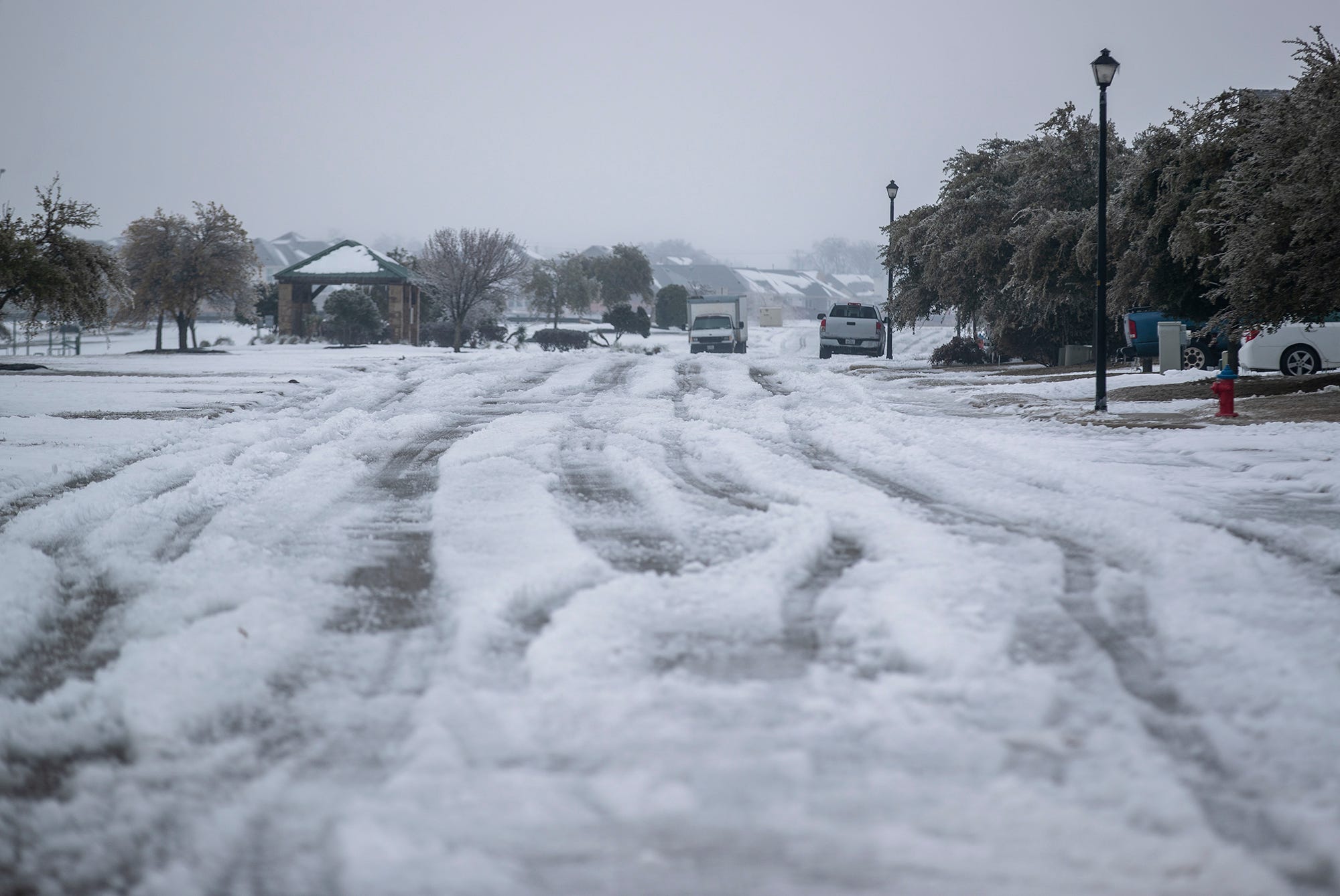 death toll texas freeze