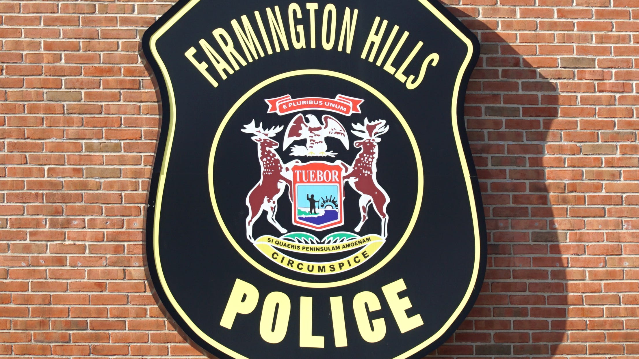 Farmington Hills judge sends kidnapping CSC case to trial