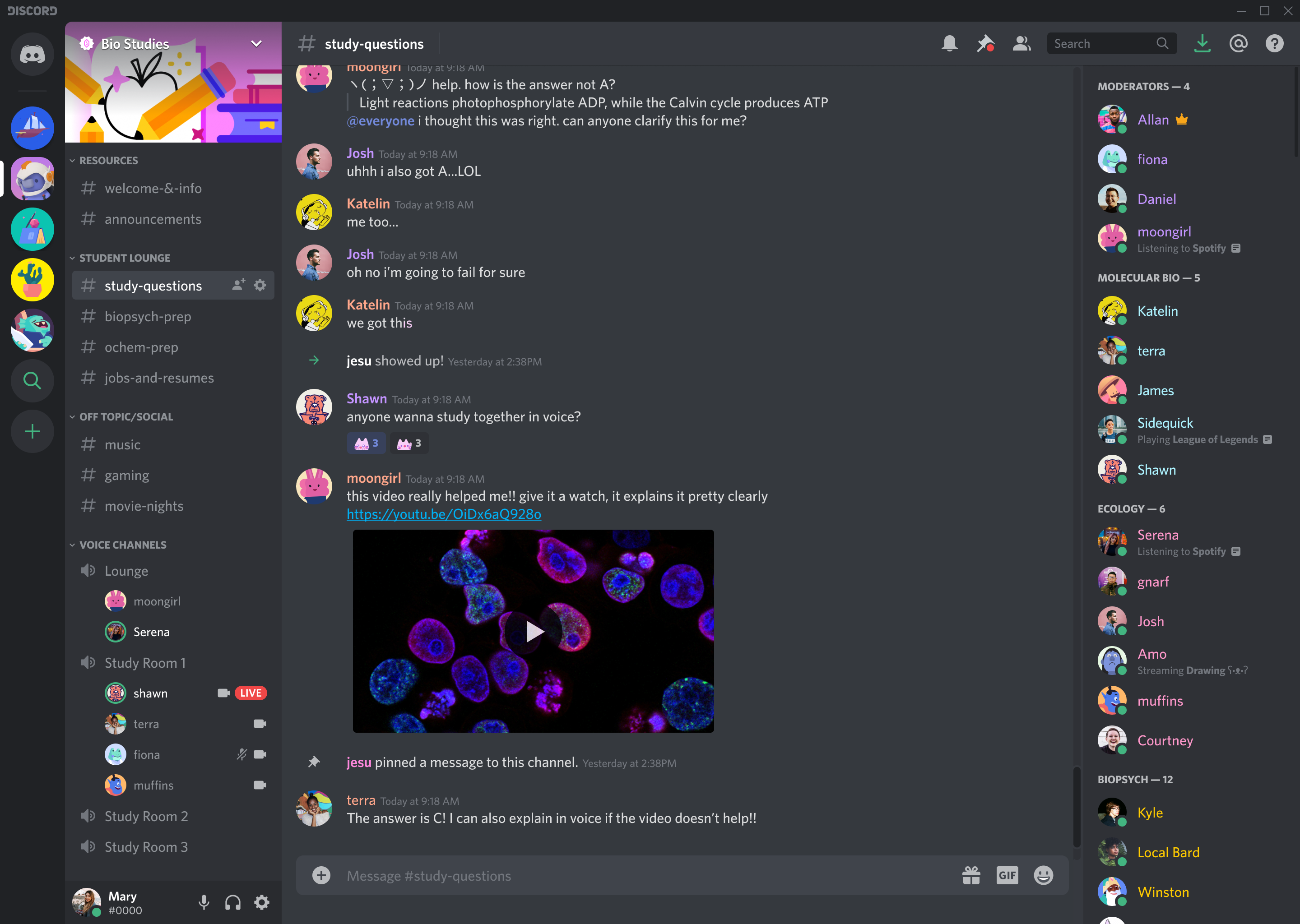 discord on browser