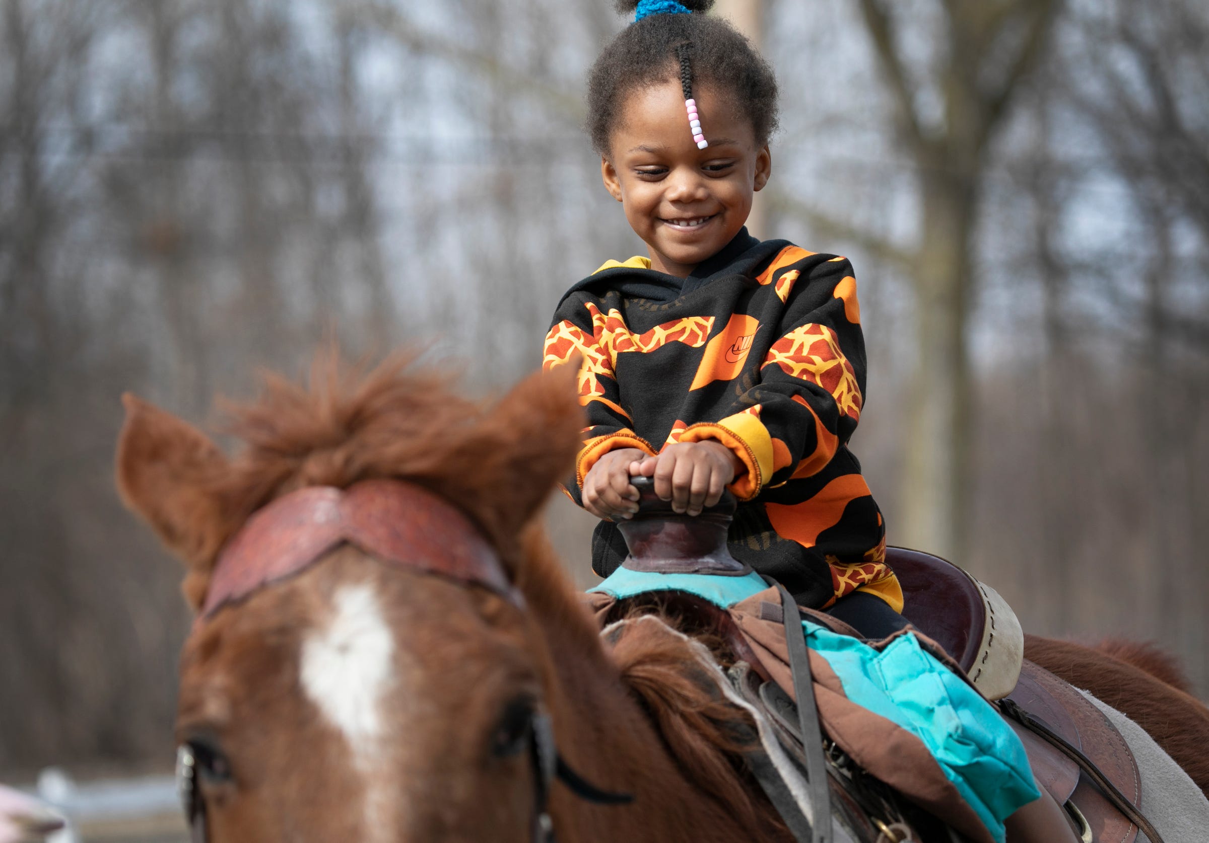 detroit horse stables