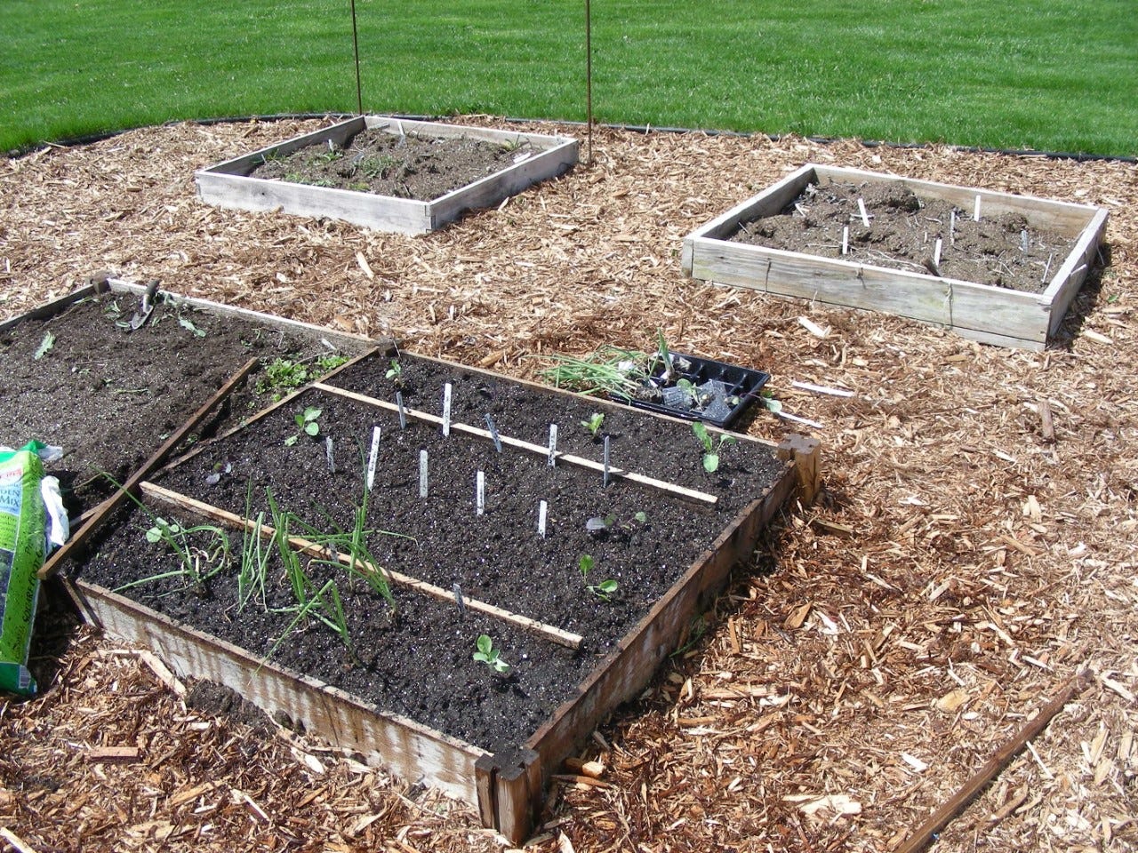 Raised garden beds have advantages. How to get started