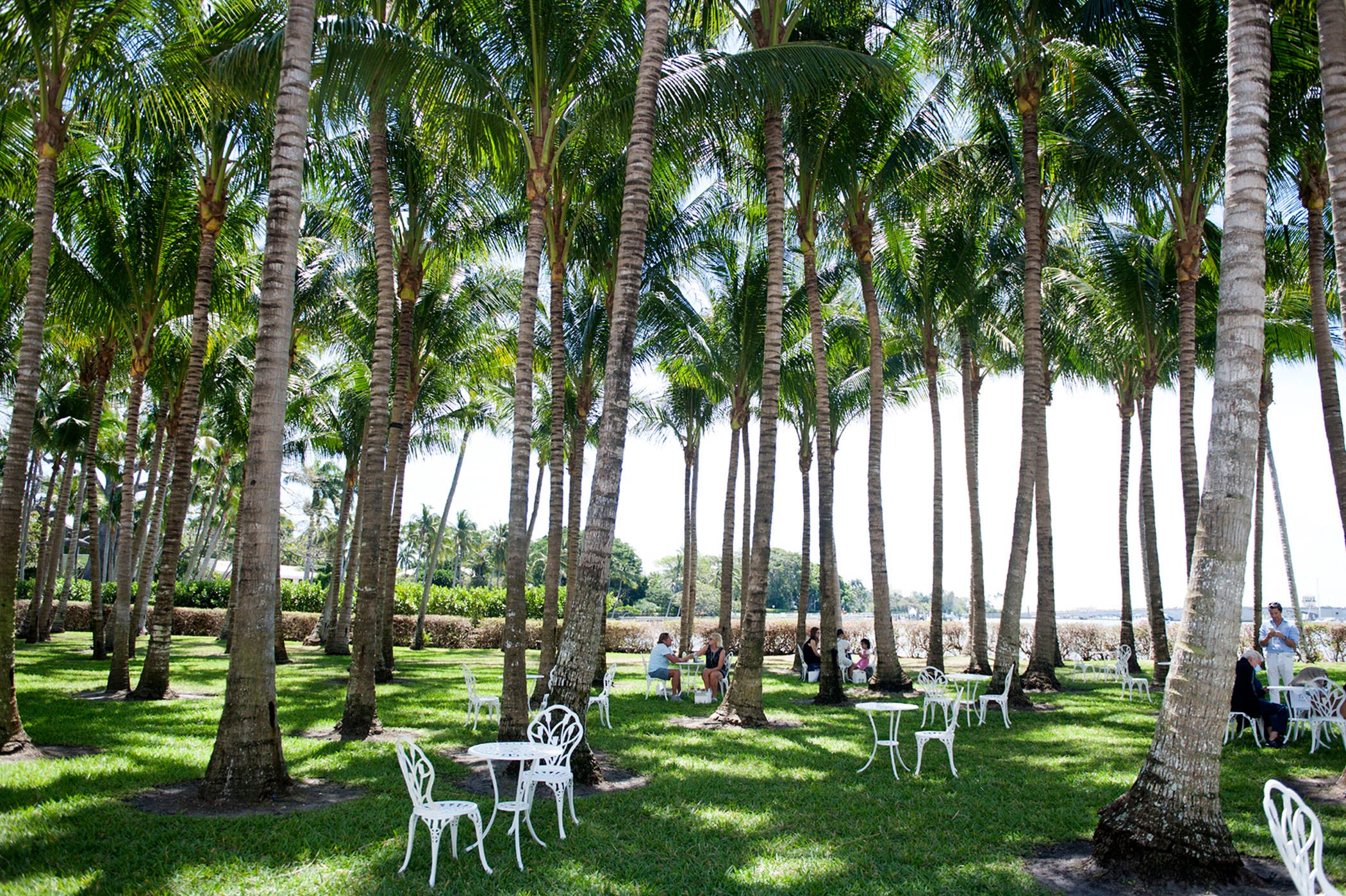 Dining In Cocoanut Grove Is Now An Option At The Flagler Museum