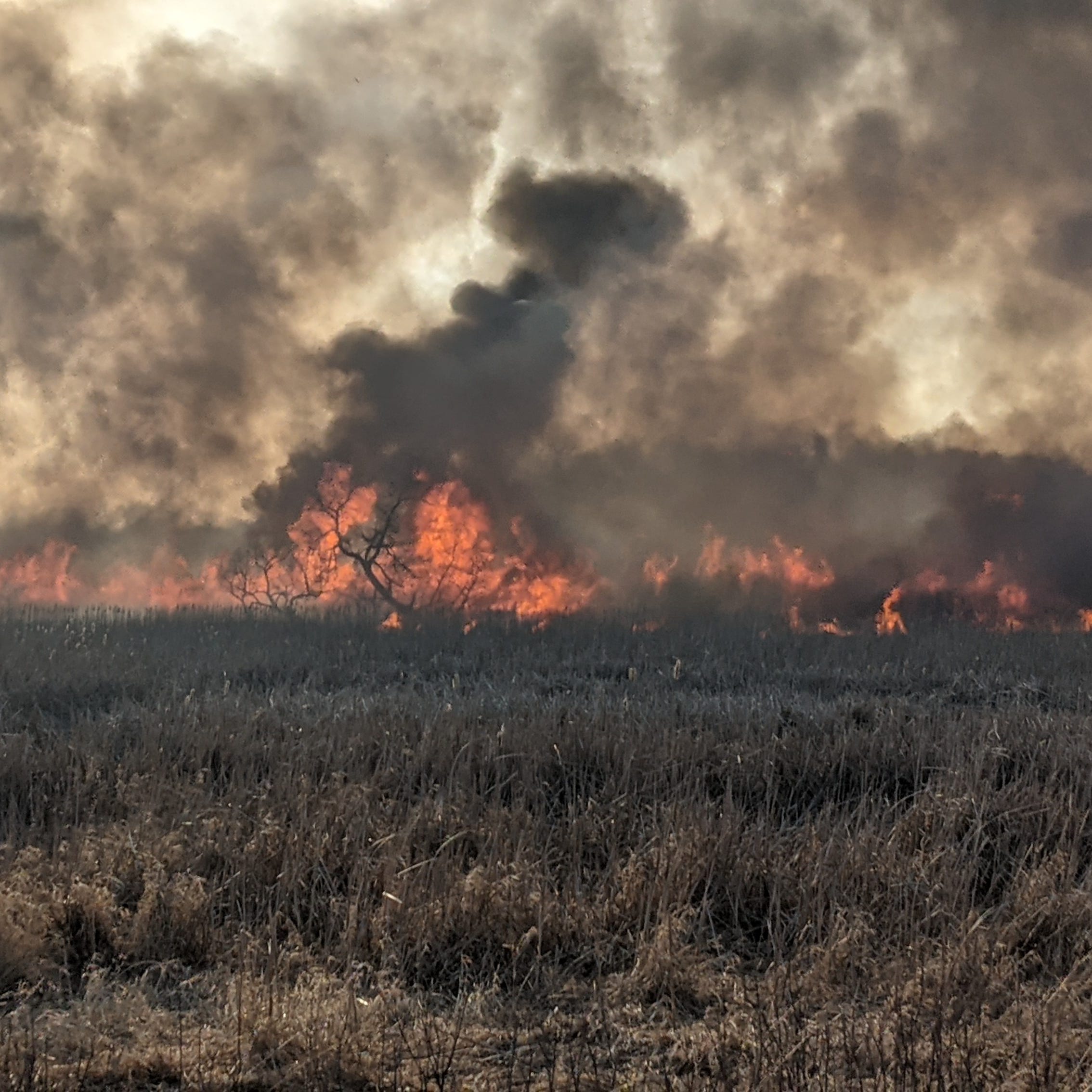 A wildfire tore through a rural area in Menomonee Falls on Friday, April 2, 2021.