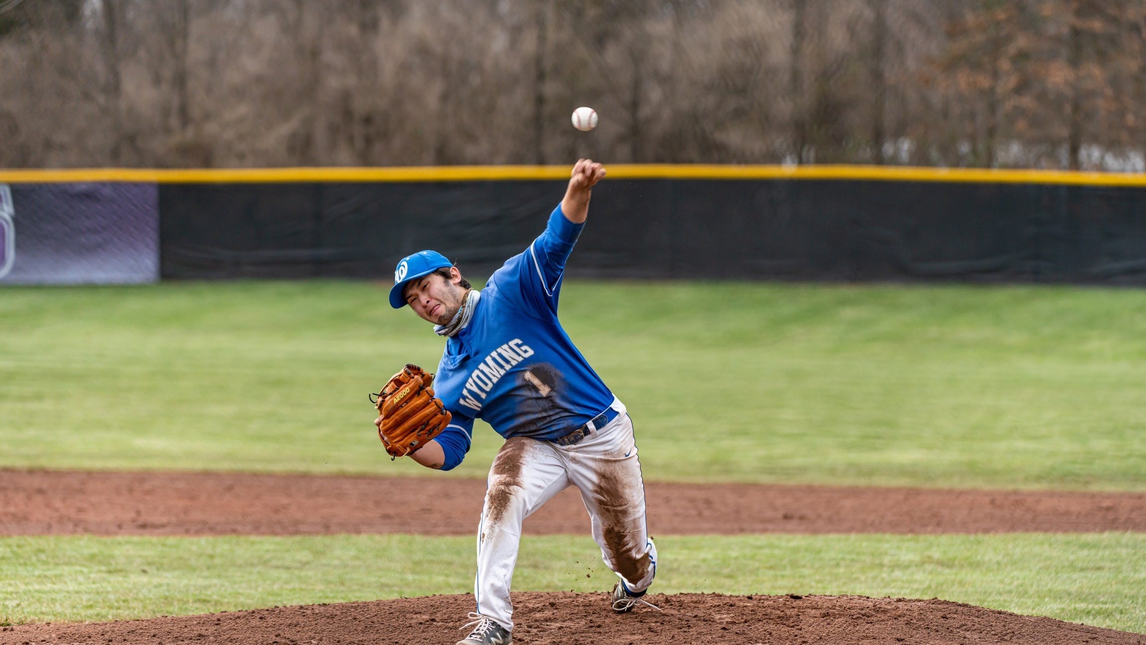 Wyoming baseball gets a nohitter; Summit hurler throws perfect game