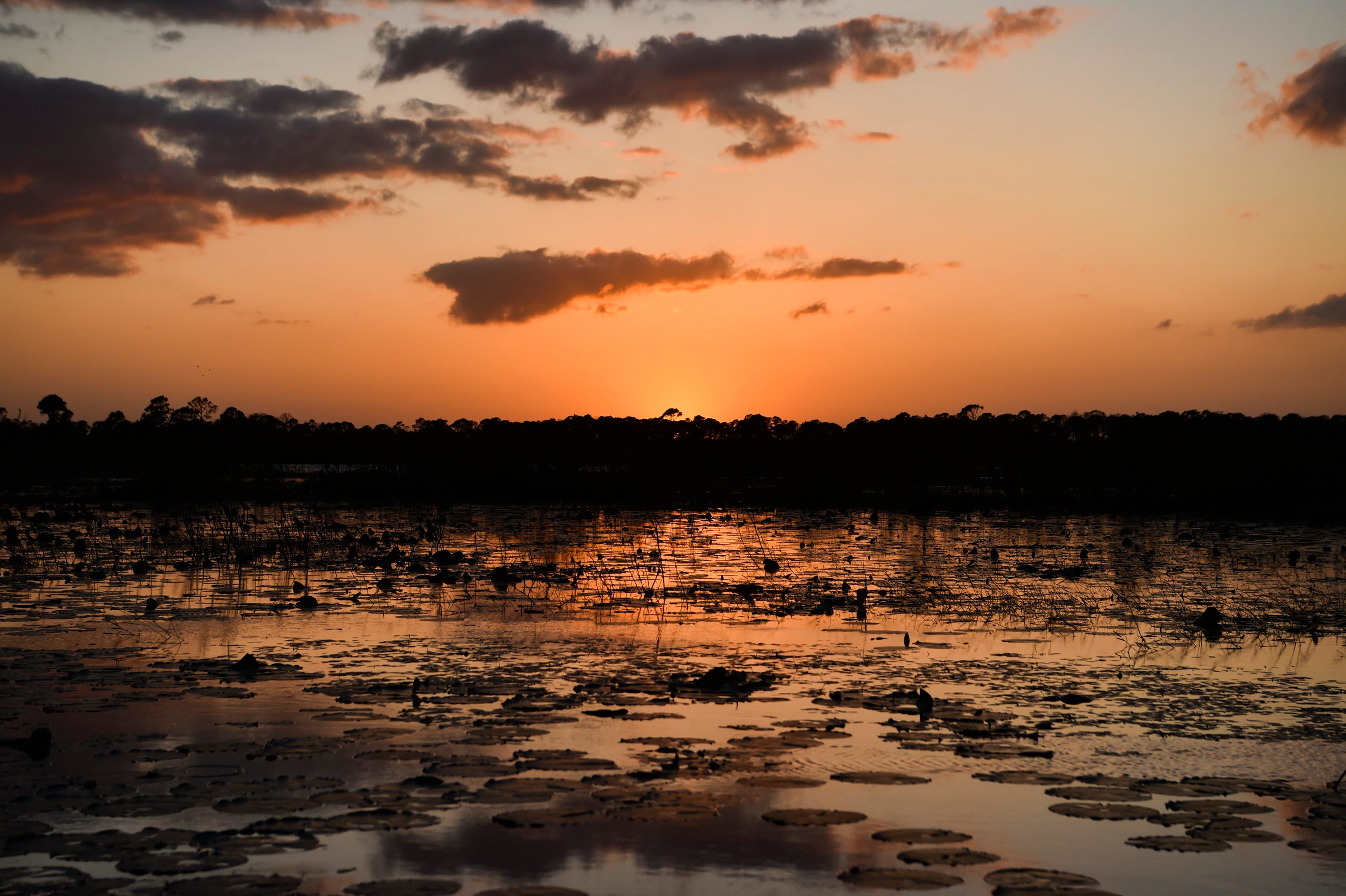 hutchinson-island-stuart-road-trip-with-seaside-restaurants-hiking