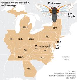 Brood X cicadas map: Where you will find them in 2021  Flipboard