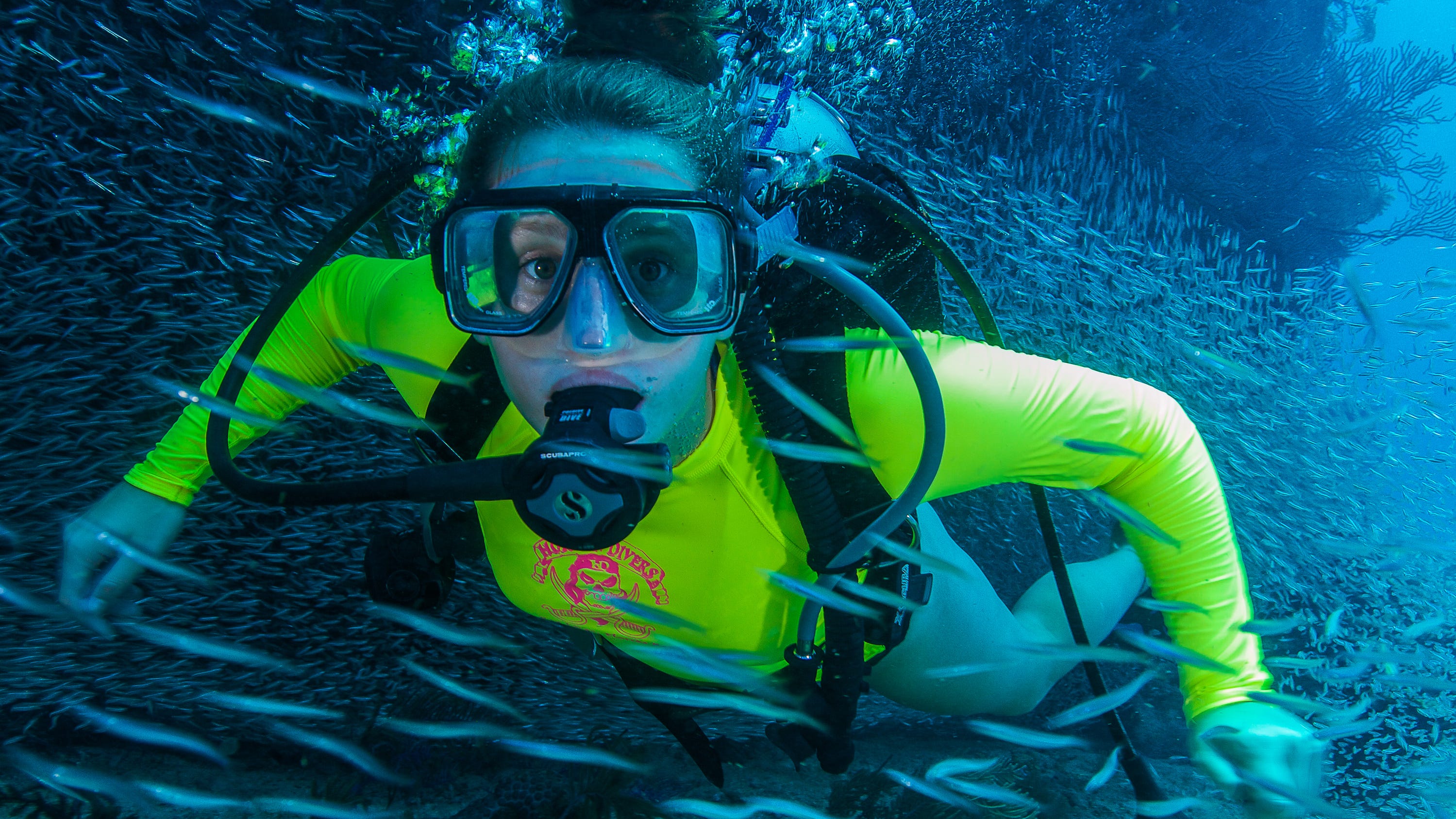Scuba Diving 10 Best Places To Dive Without Leaving The Us 