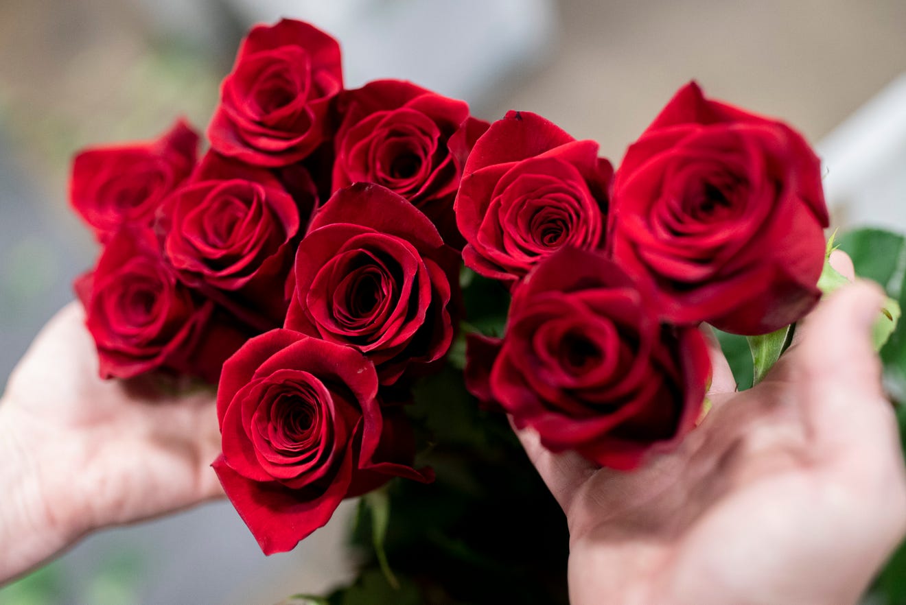 How the 2021 Kentucky Derby Rose Garland is made, arranged