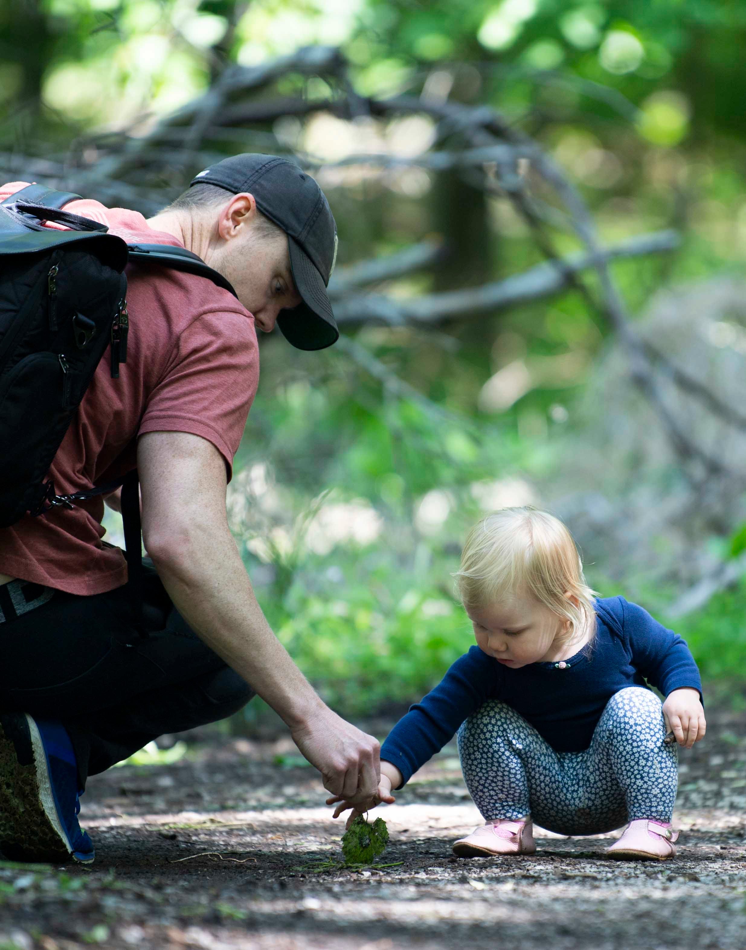 How Nashville residents saved Radnor Lake 50 years ago