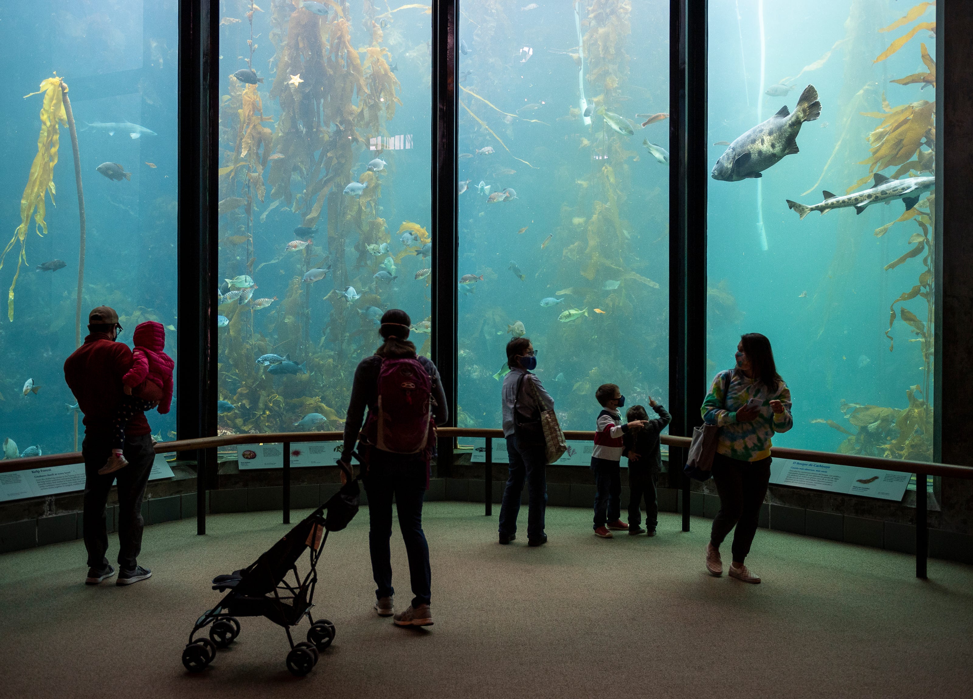 are dogs allowed in monterey bay aquarium