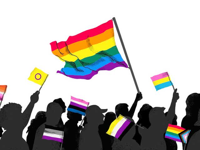 Lgbtq Pride Flags And What They Mean See Gay Lesbian Trans And More