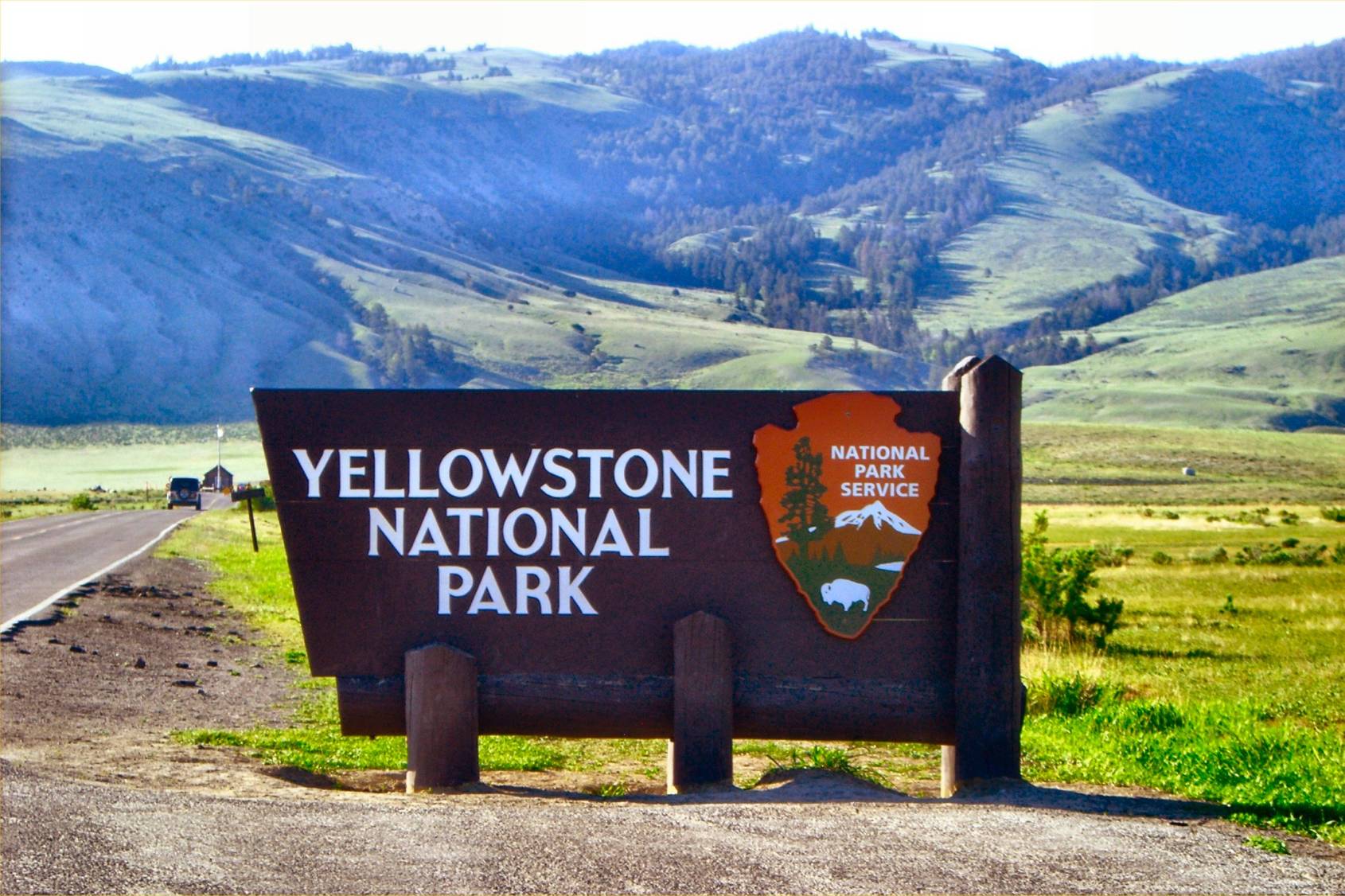 are dogs allowed at yellowstone national park