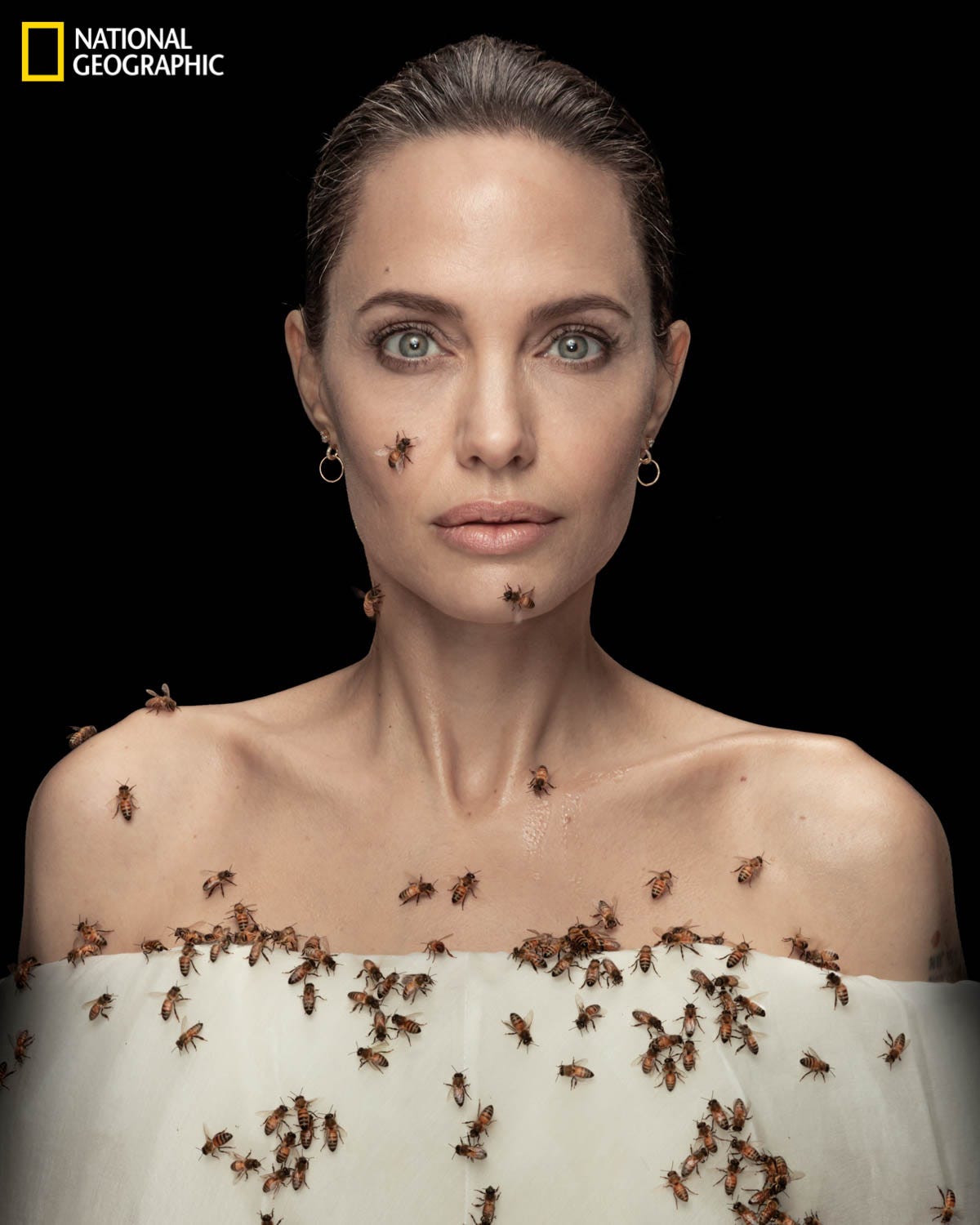 Angelina Jolie poses with a bunch of buzzing bees for World Bee Day