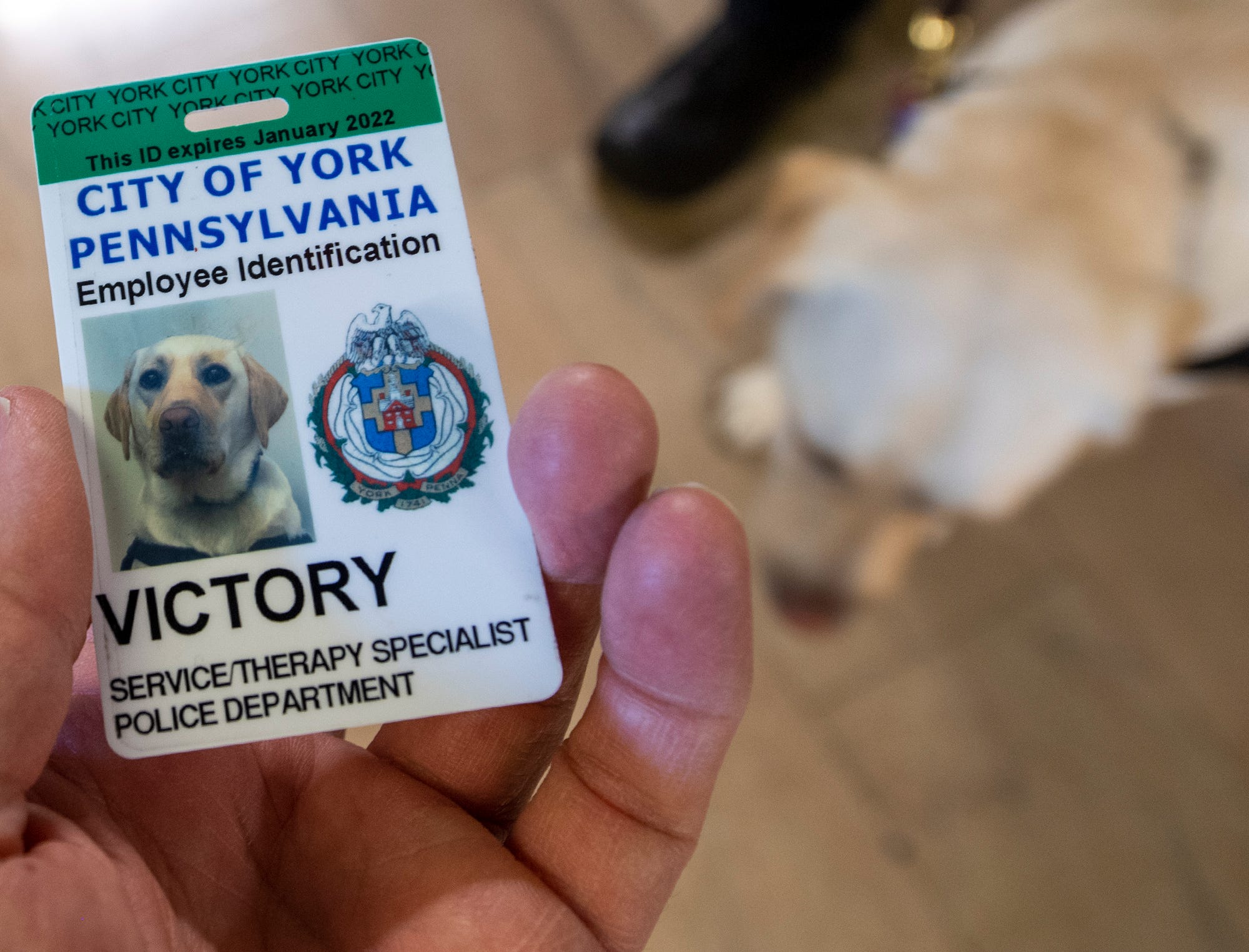 are police dogs service animals