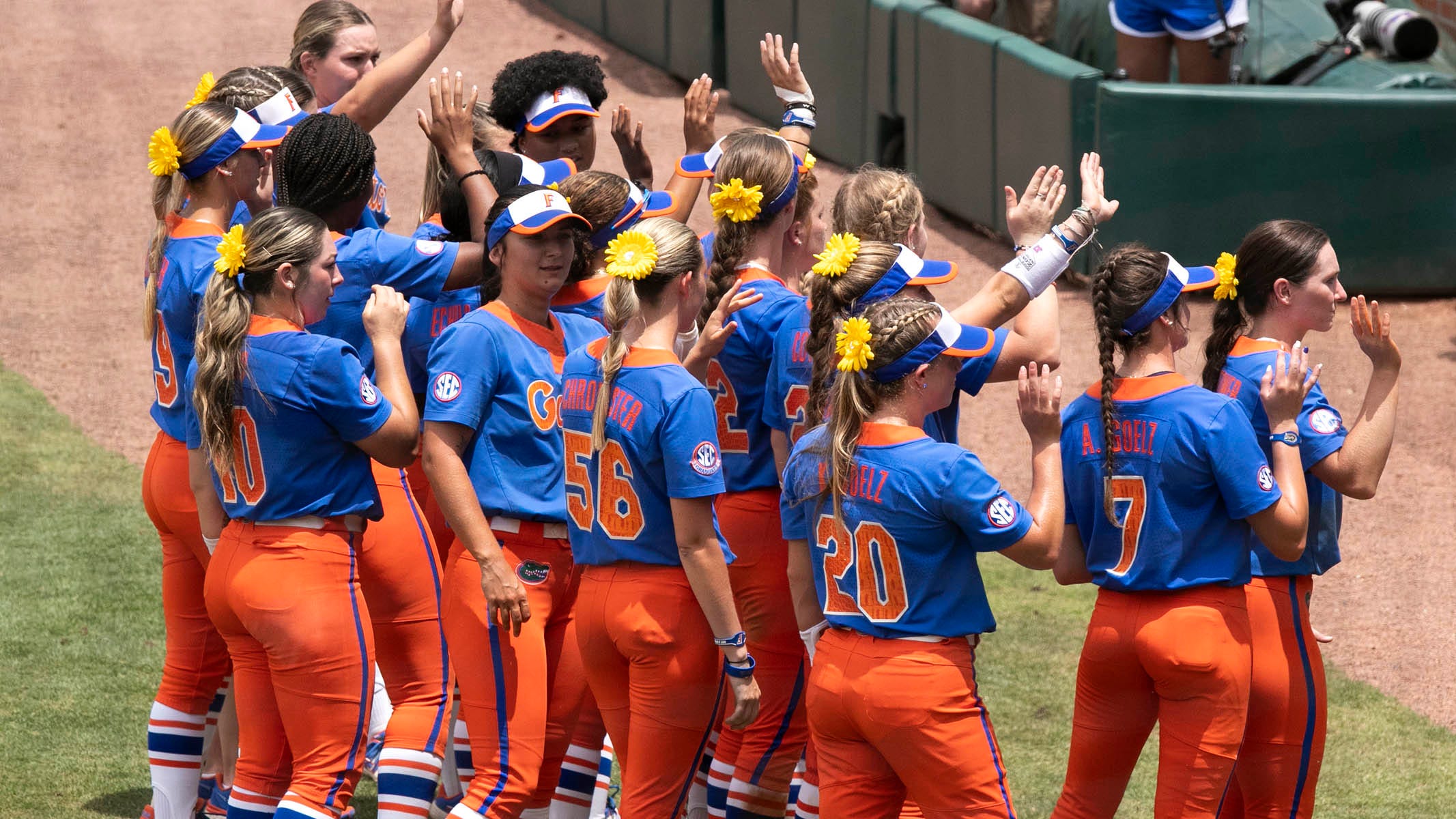 NCAA softball Why some Florida players wear sunflowers in their hair