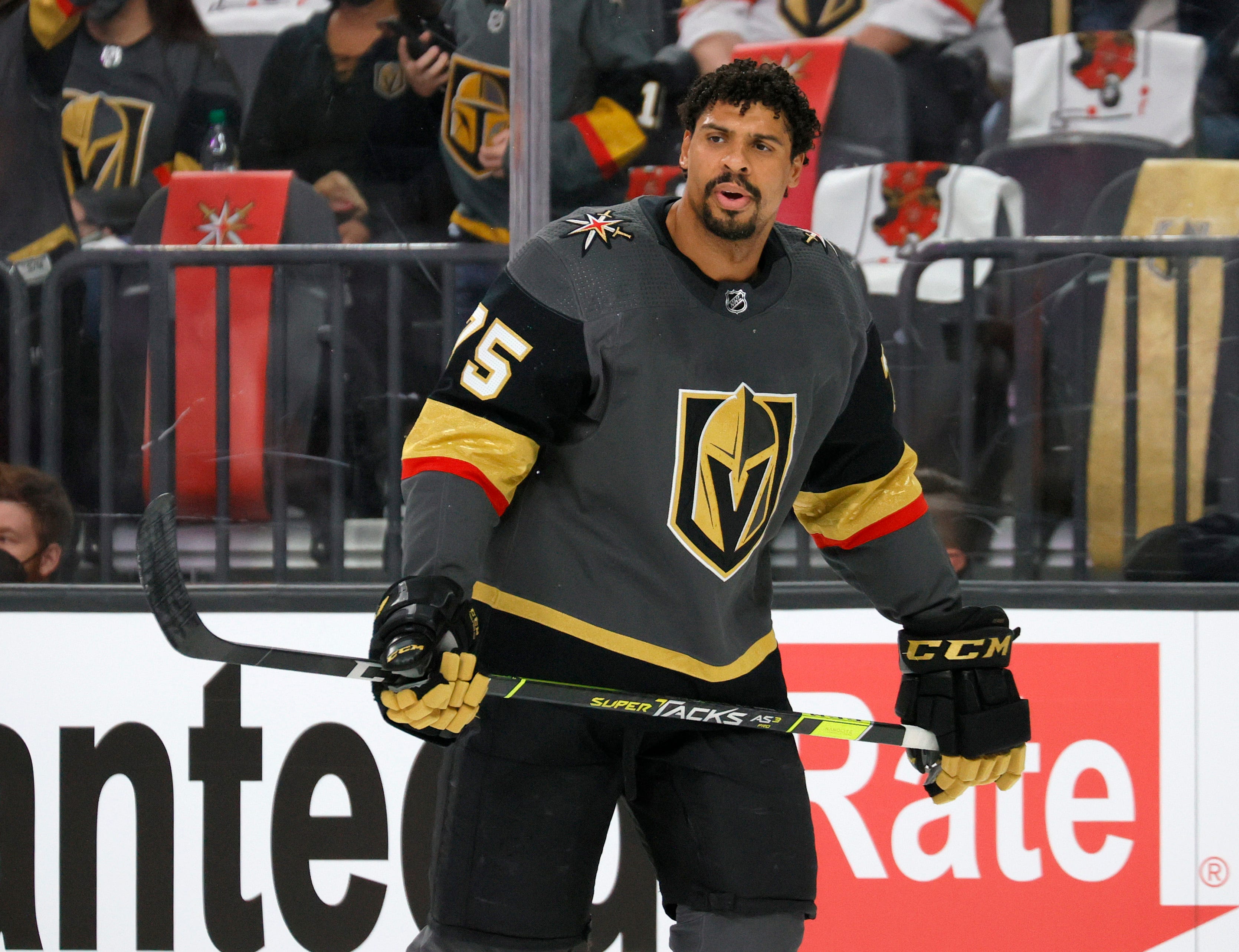 NY Rangers get Ryan Reaves in trade with Golden Knights