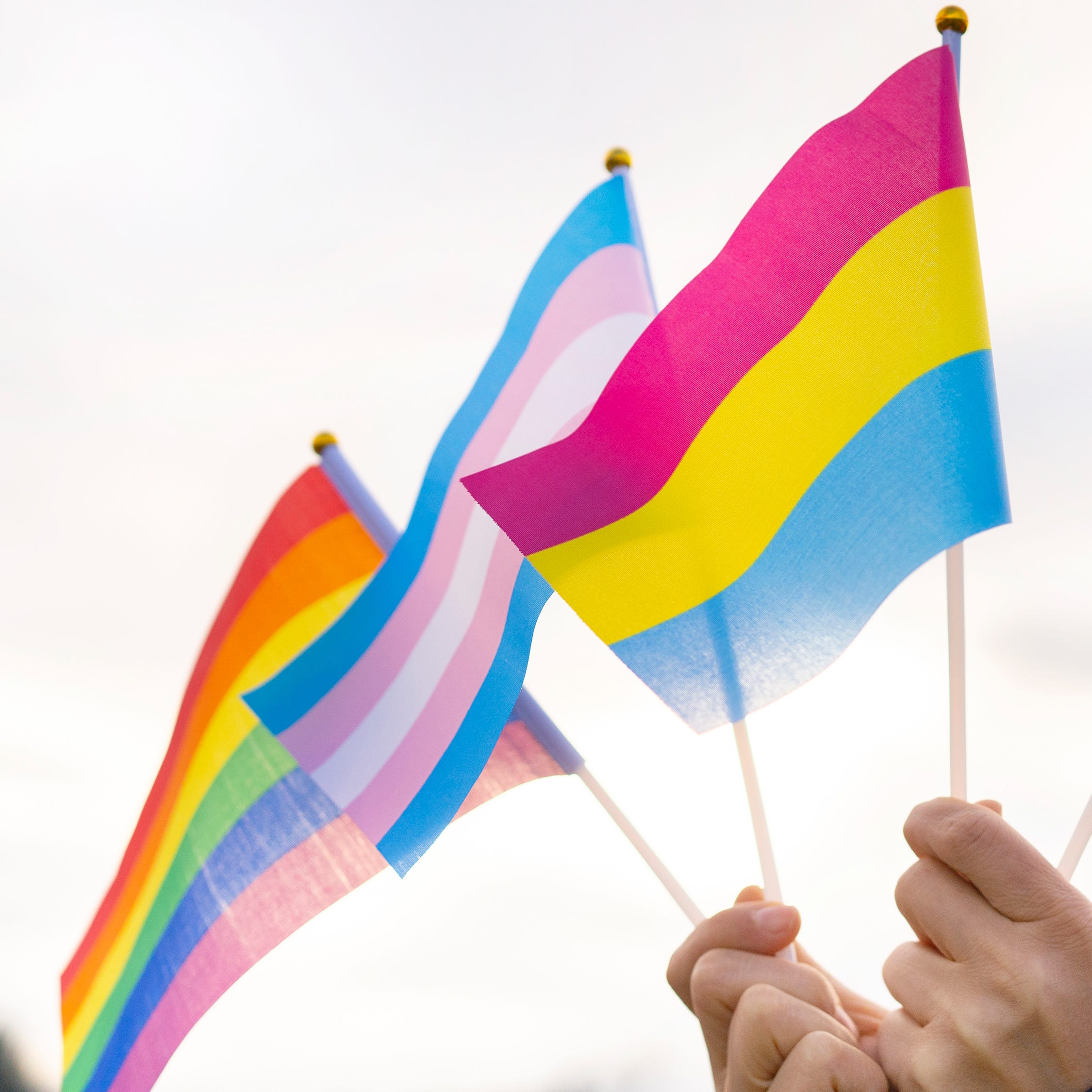 From L to R: The traditional Pride flag; the transgender flag; the pansexual flag; and the bisexual flag.