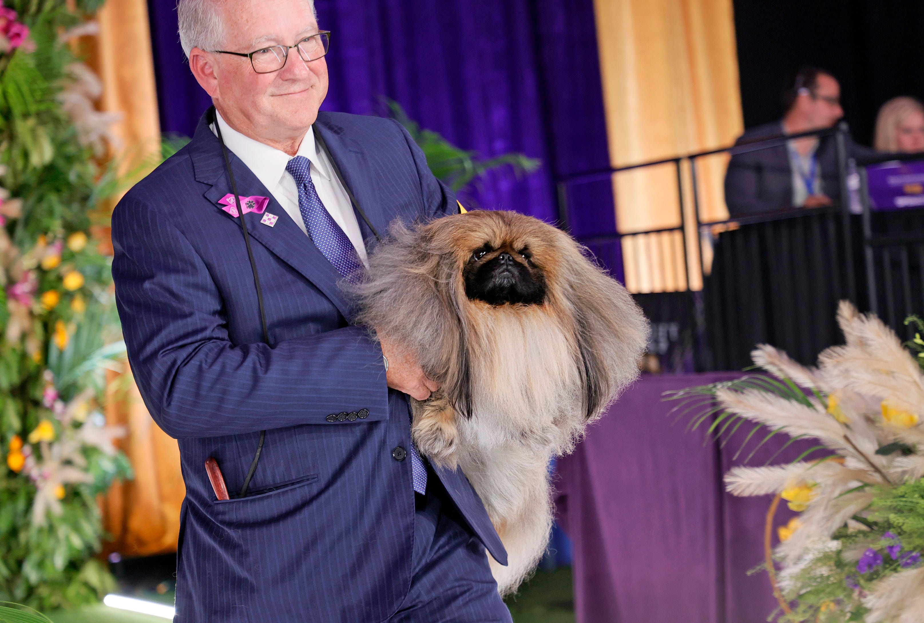 who won the best in show at the westminster dog show