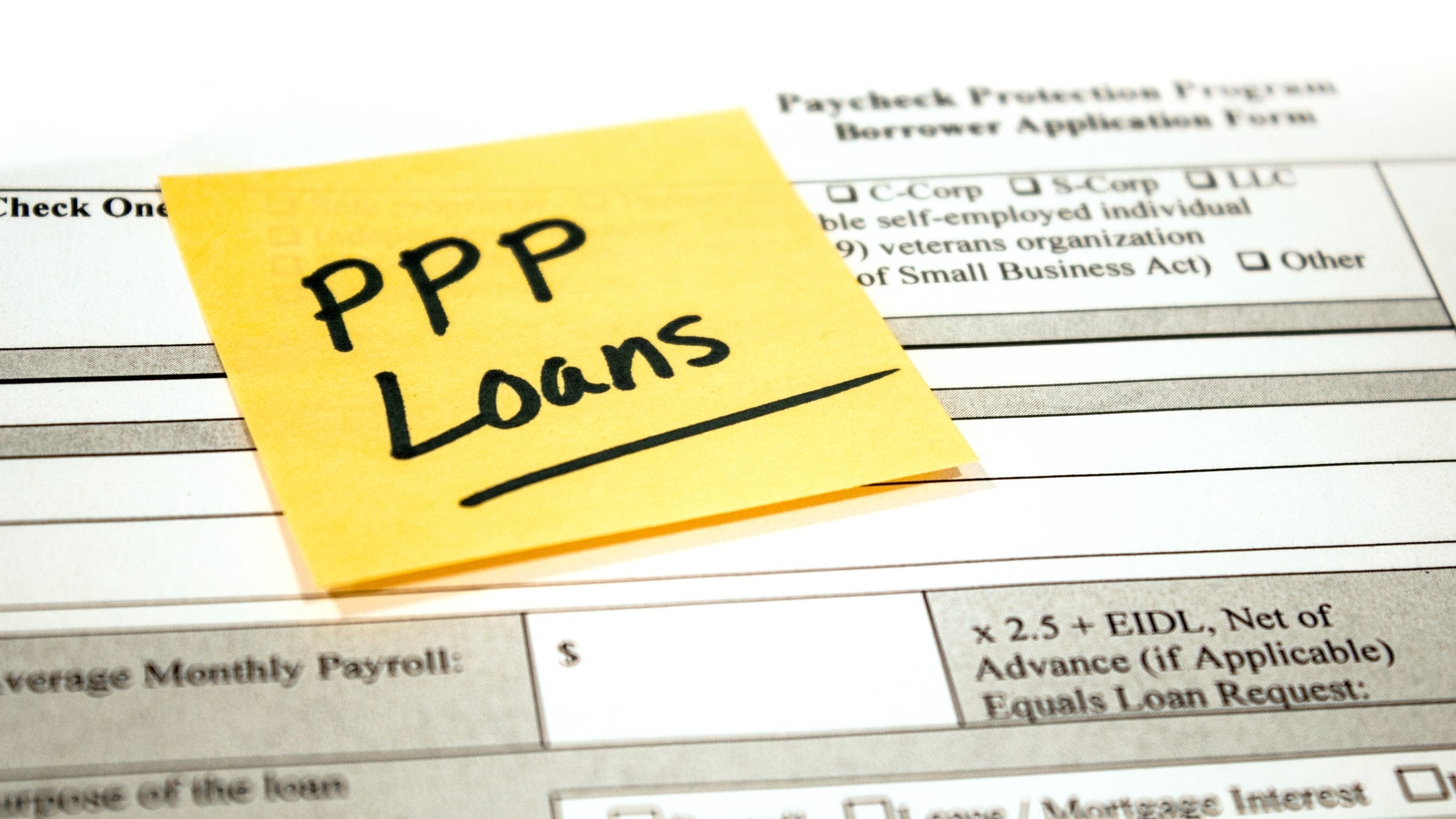 Ppp Loan List Of Recipients 2021 New PPP Loans What Businesses