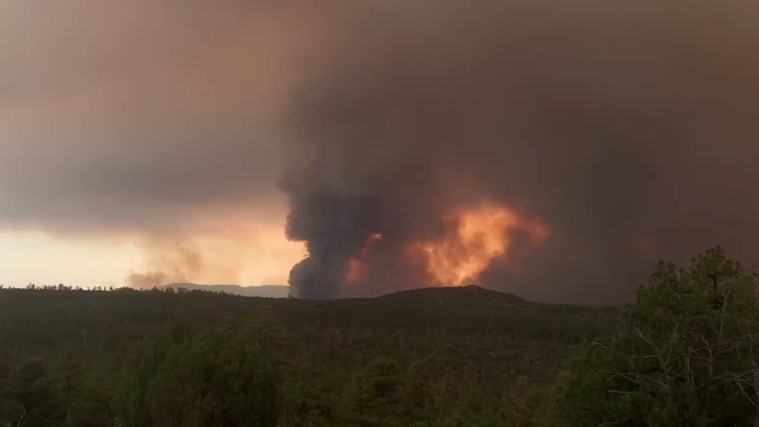 backbone fire strawberry az