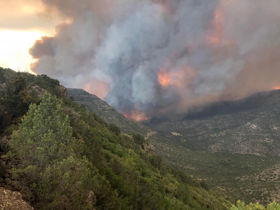 backbone fire strawberry az