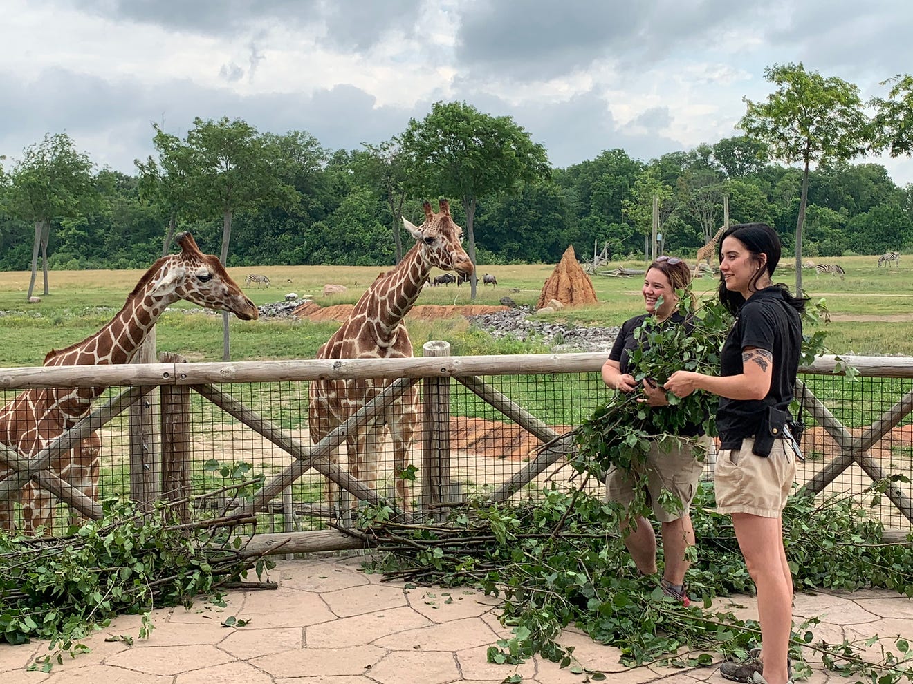 AEP Ohio provides Columbus Zoo and The Wilds food for animals