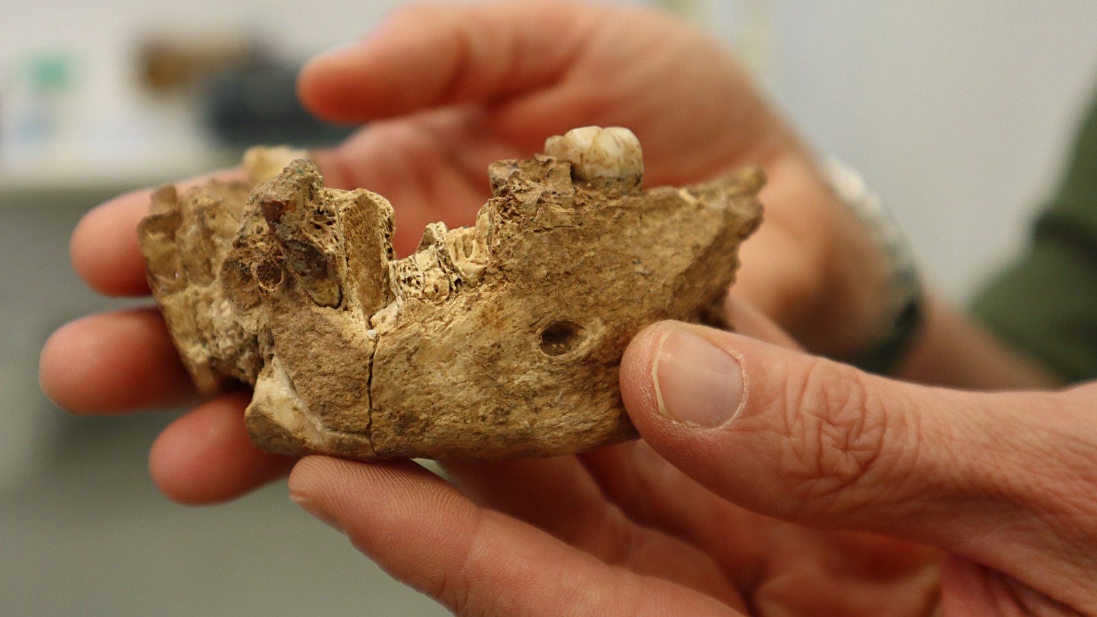New Early Human Found At Israel Fossil Site A Neanderthal Ancestor 