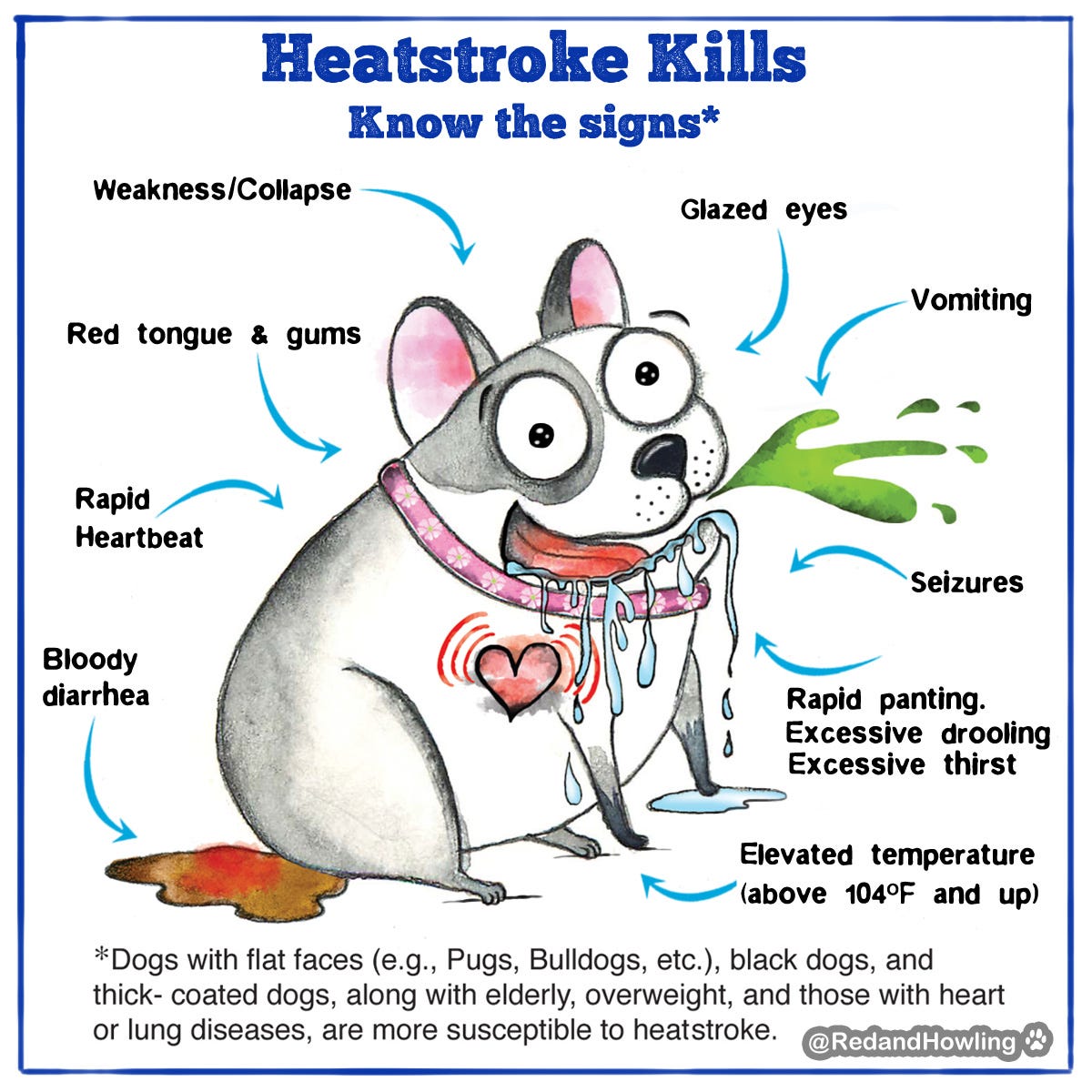 can heat stroke cause seizures in dogs