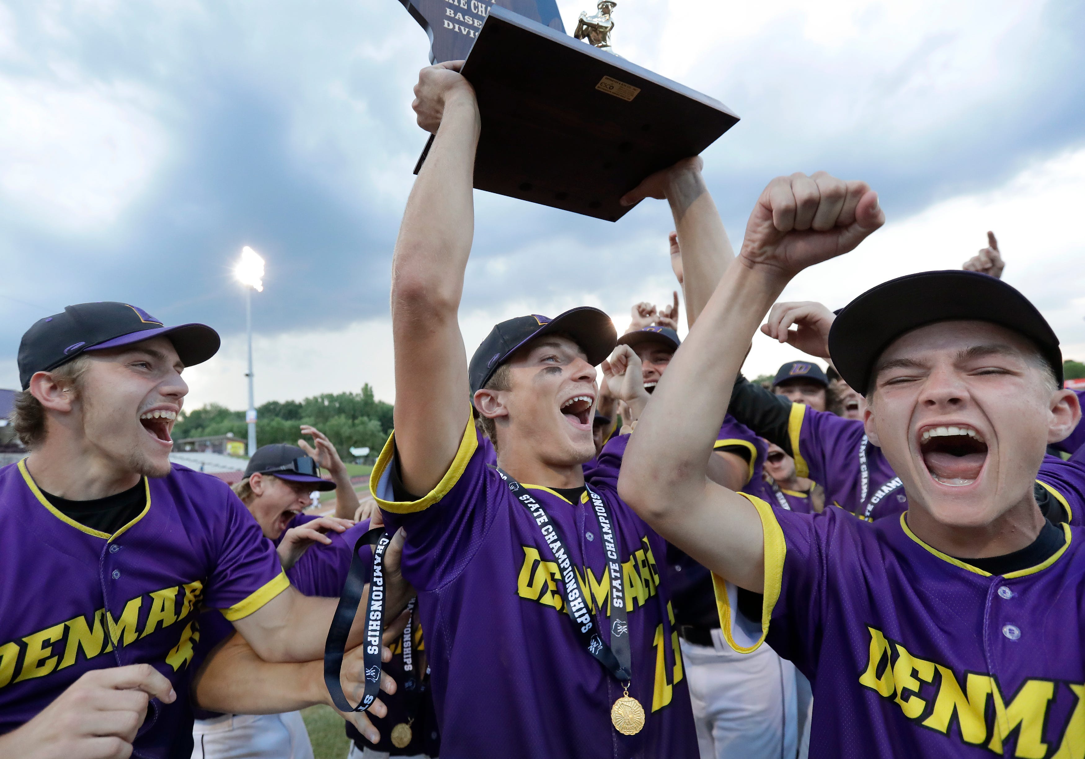 WIAA baseball Denmark tops Rice Lake, will play for state title