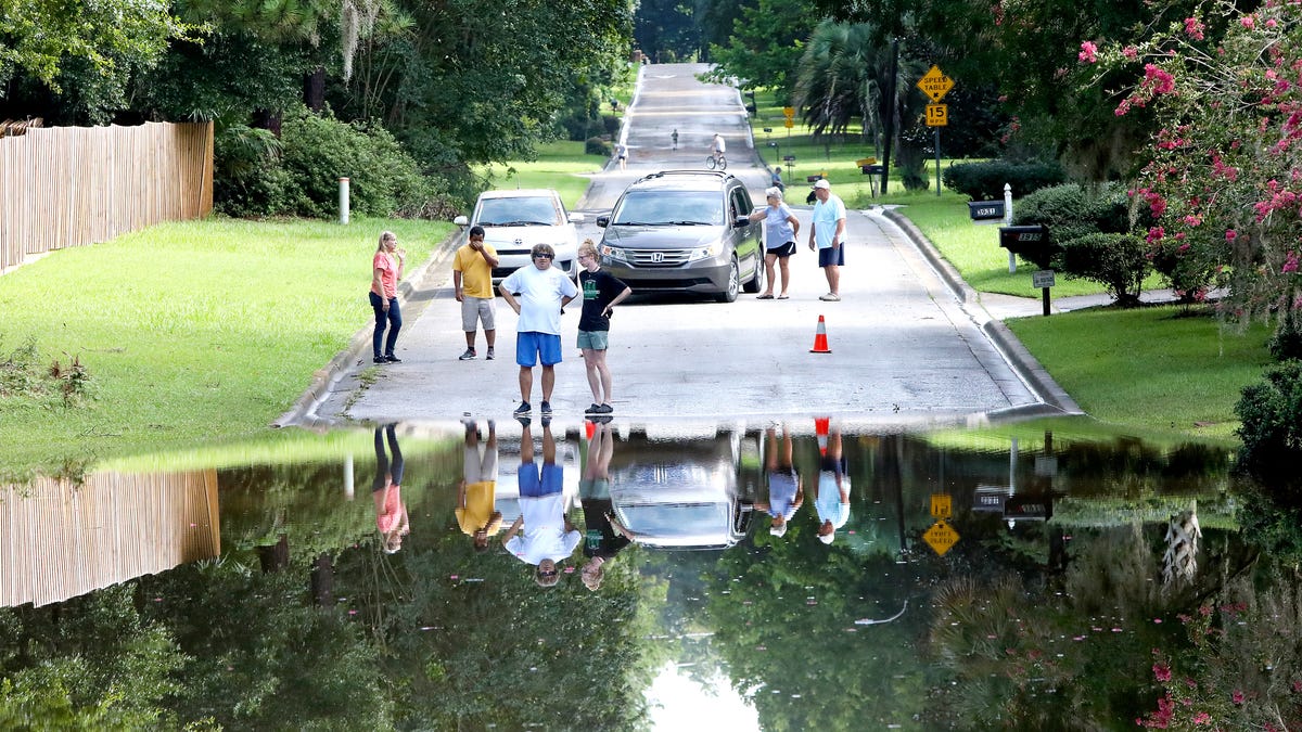 Flooding around Gainesville the day after TS Elsa