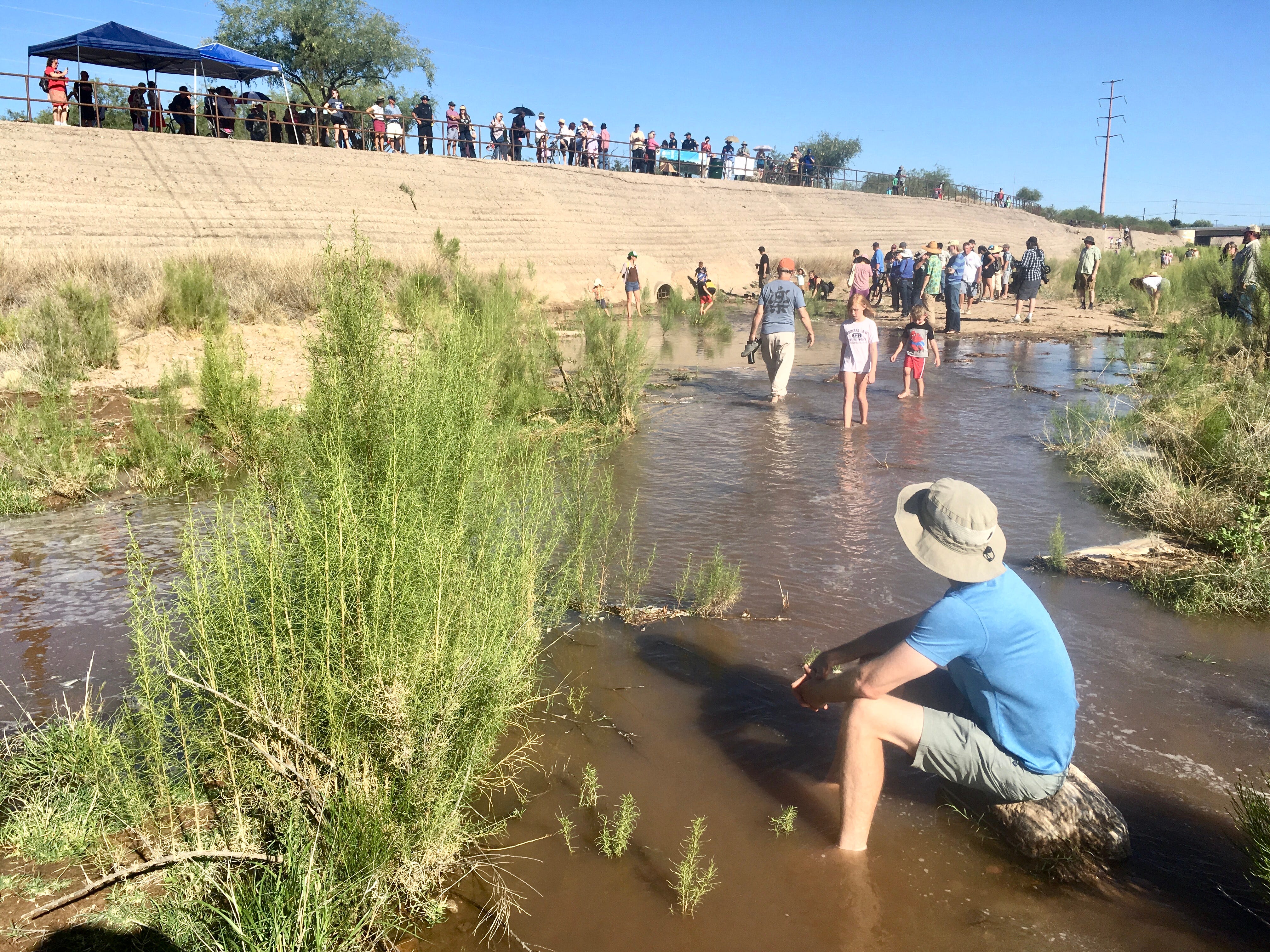 Recycled water creates a flowing river in Tucson nourishing ecosystem