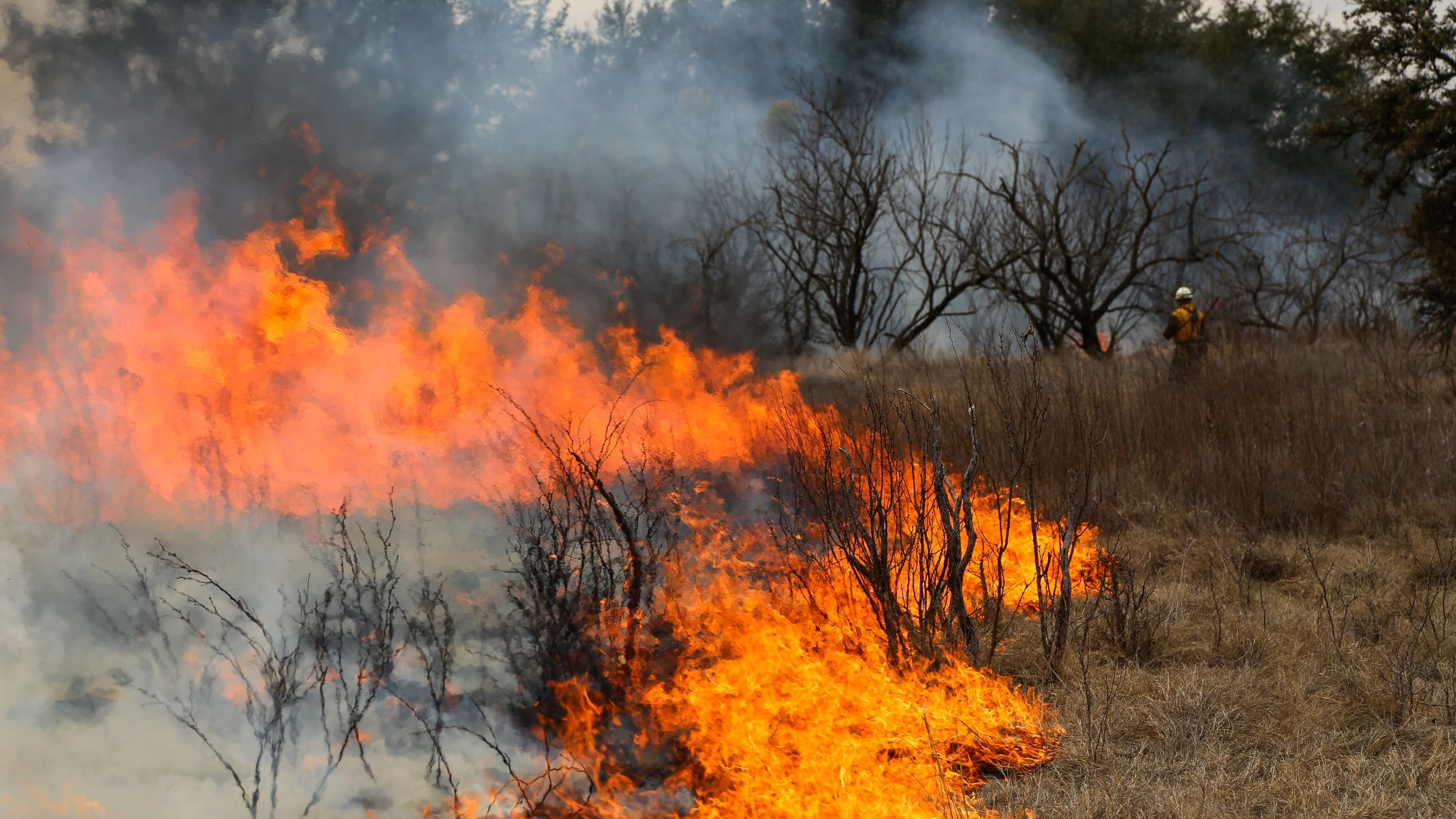 Applications for prescribed fire grant now open