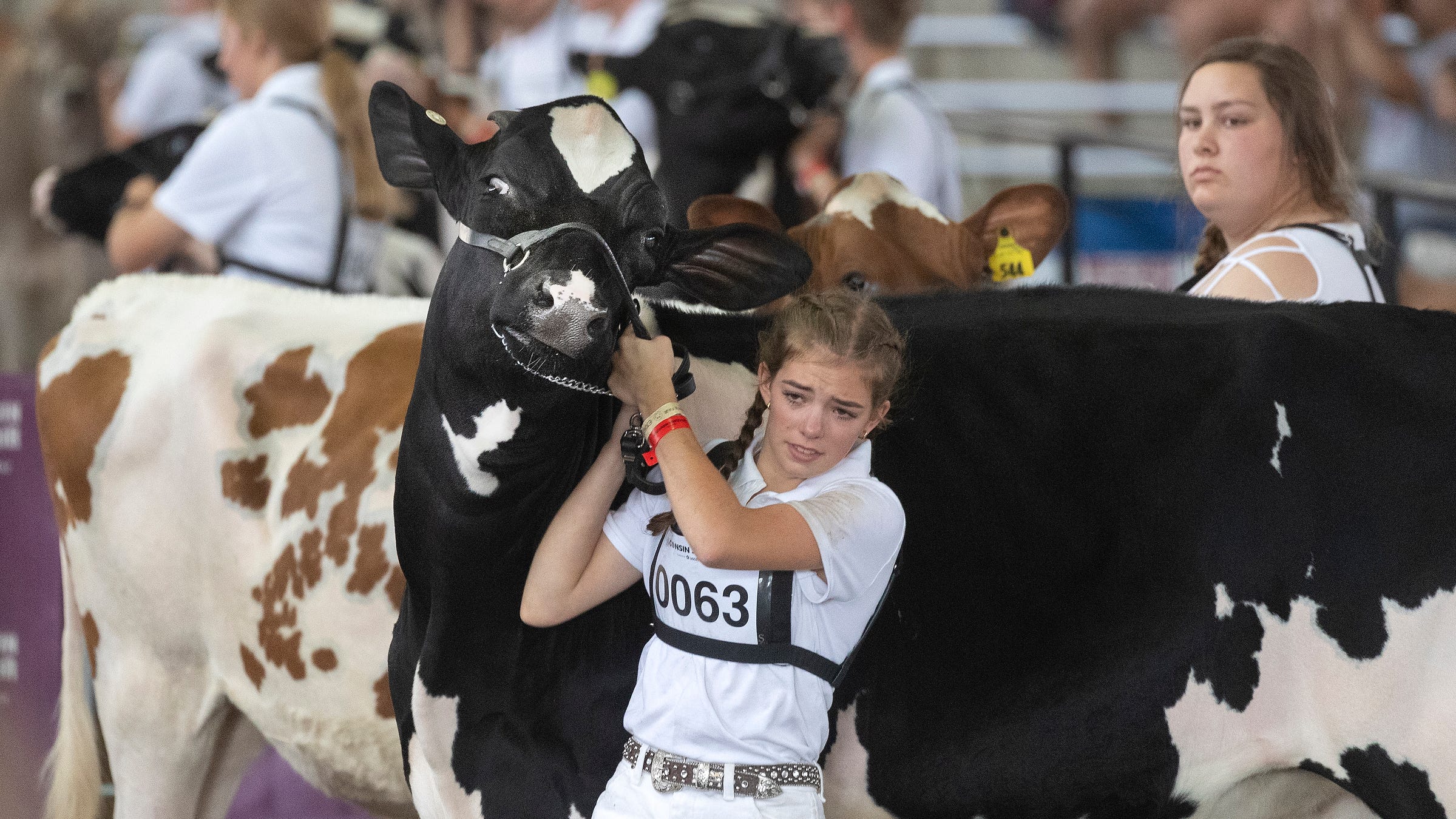 Wisconsin State Fair 2022: Hours, tickets, deals, carry-in policy