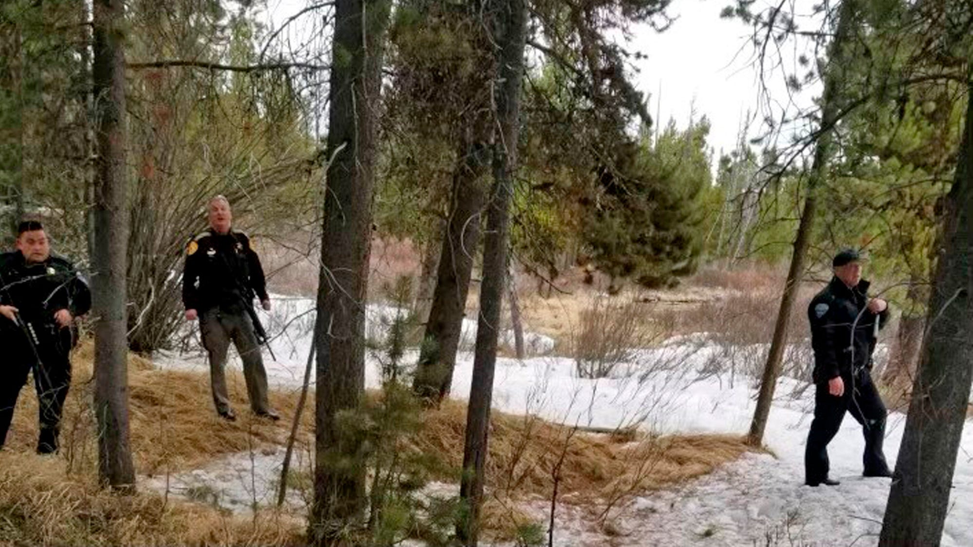 Bear in deadly attack near Yellowstone may have been guarding food