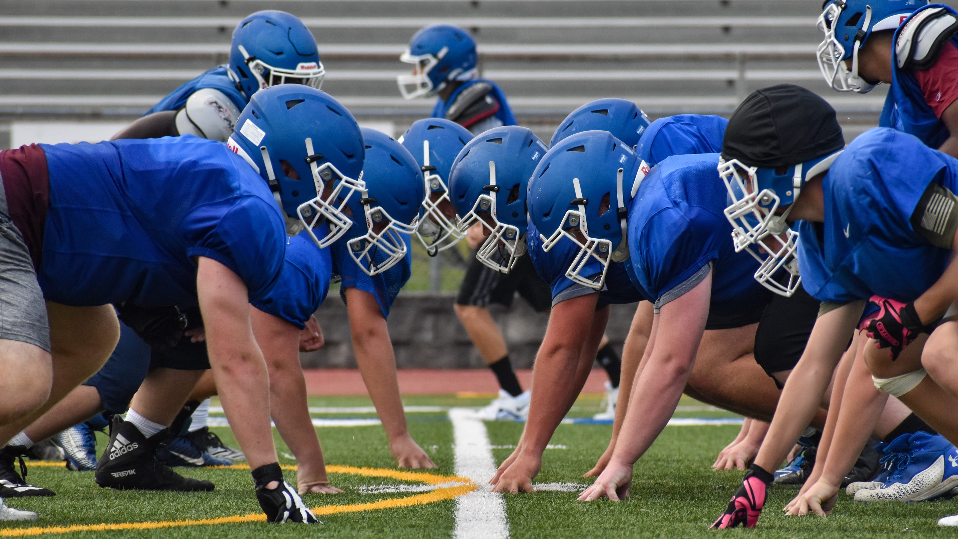 PIAA football previews Pleasant Valley Bears